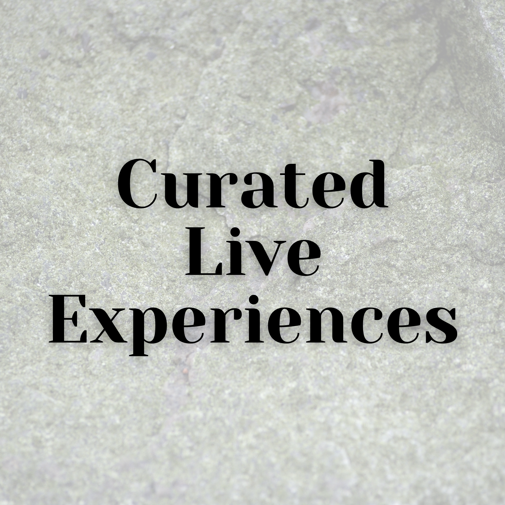 Artist-Led Sonic Curation