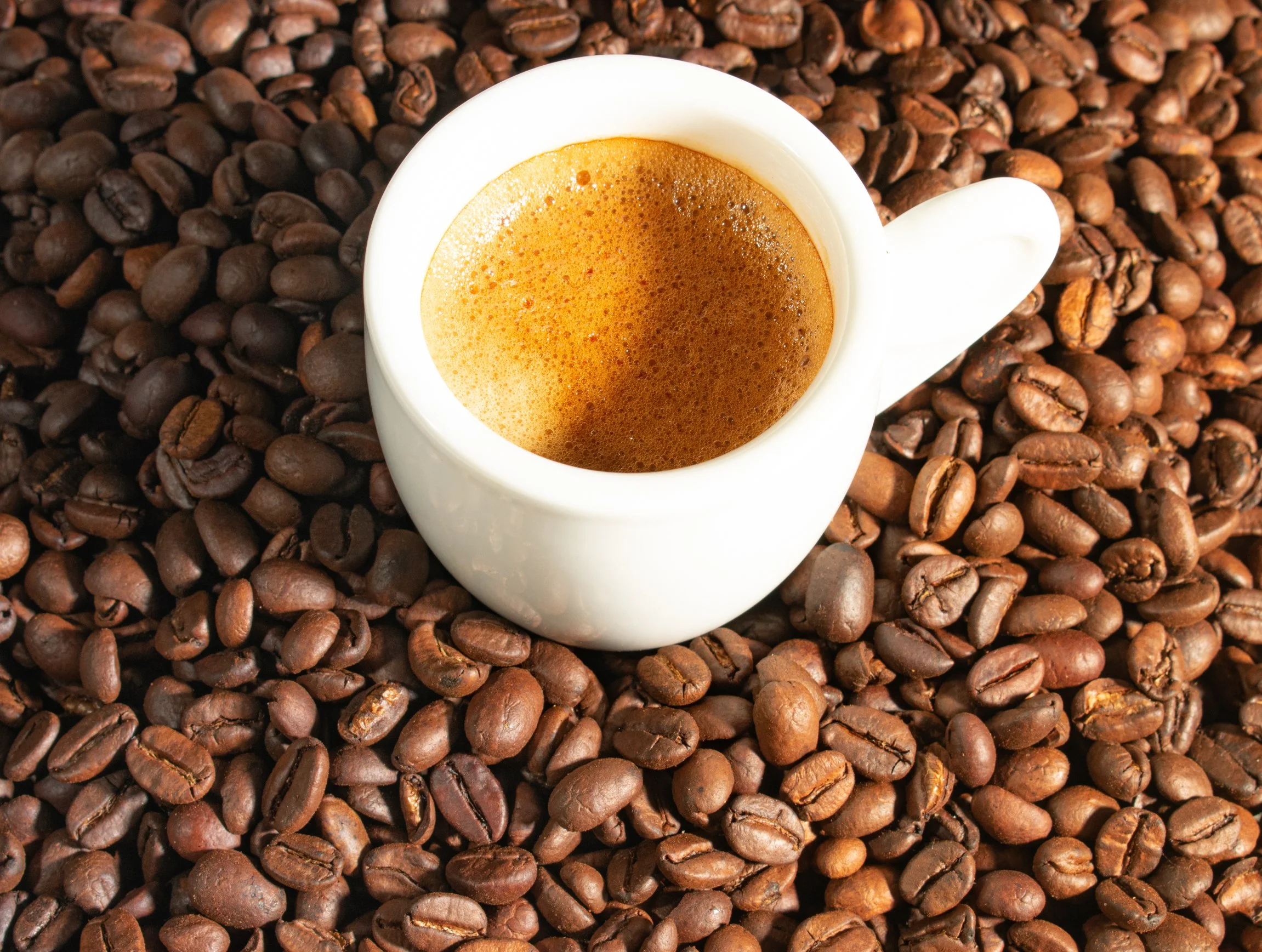 MiguelMad_cafe_004.jpg
