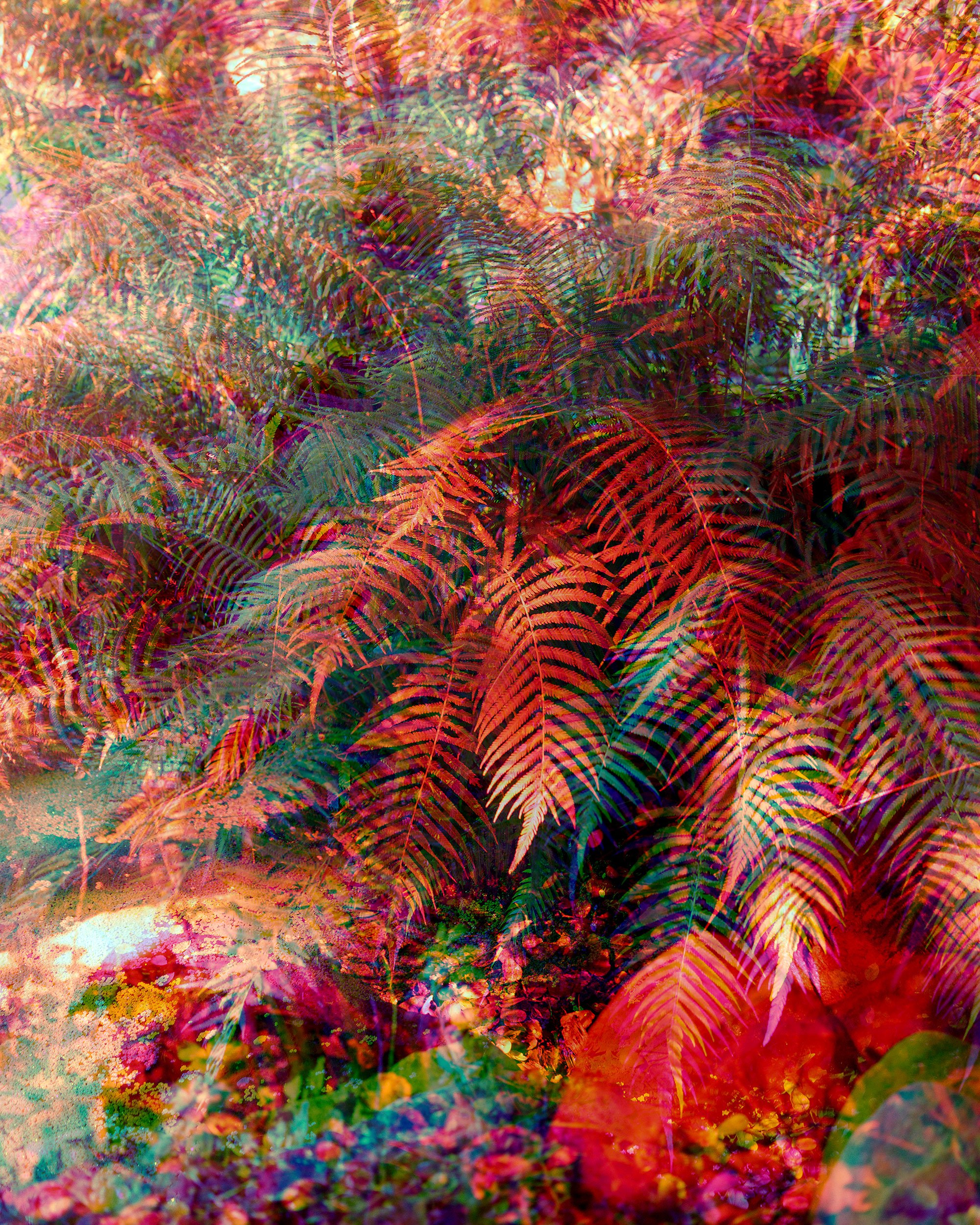 12_18_SLO_628-Edit.jpg
