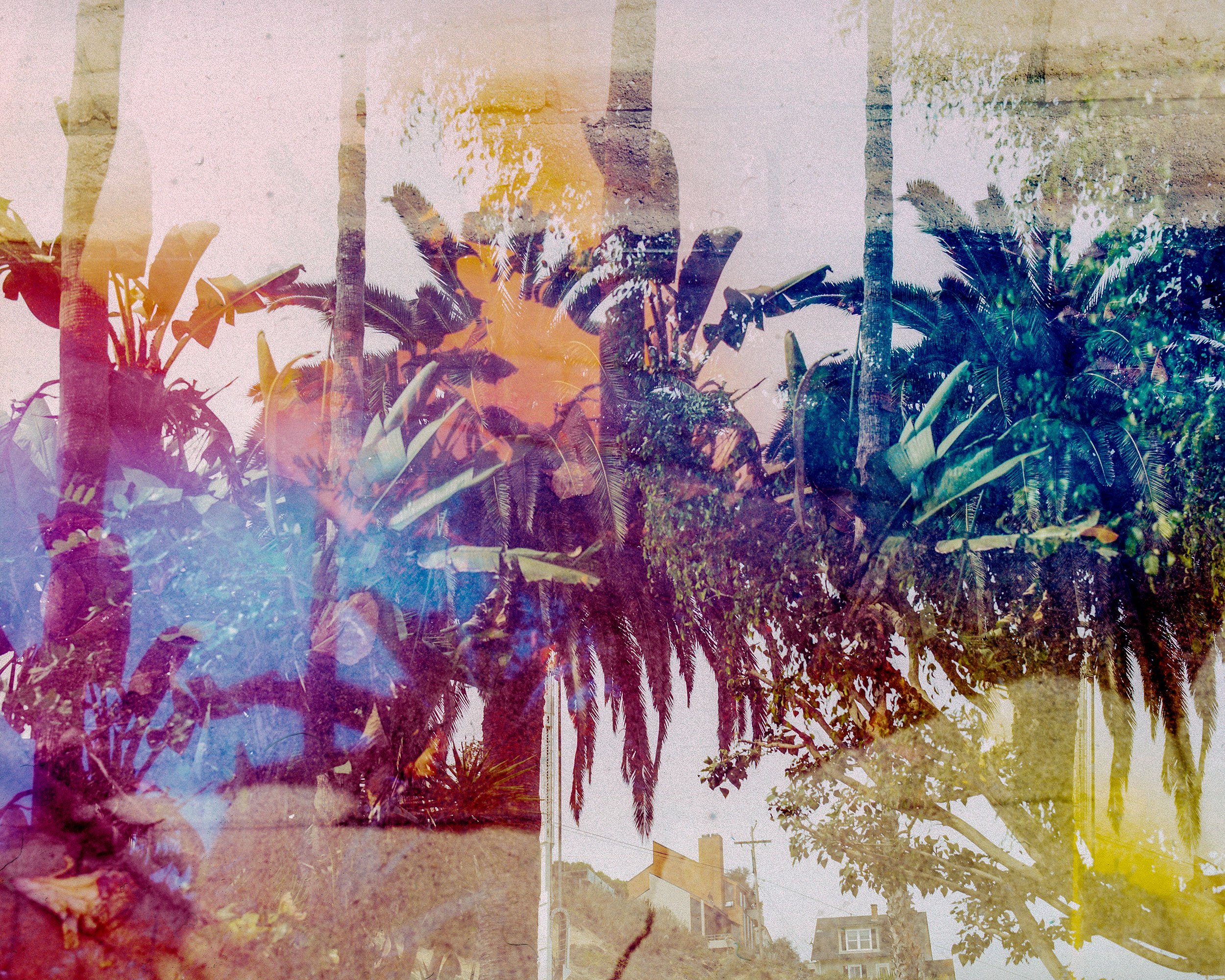 SLO_2018_31.jpg