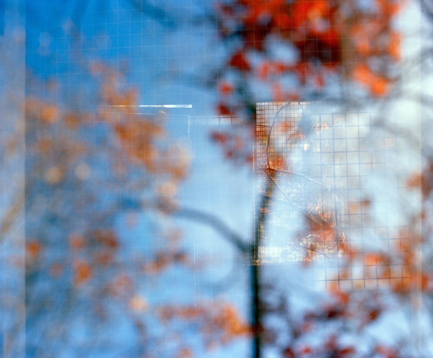 TreeGrid_Sr1.jpg