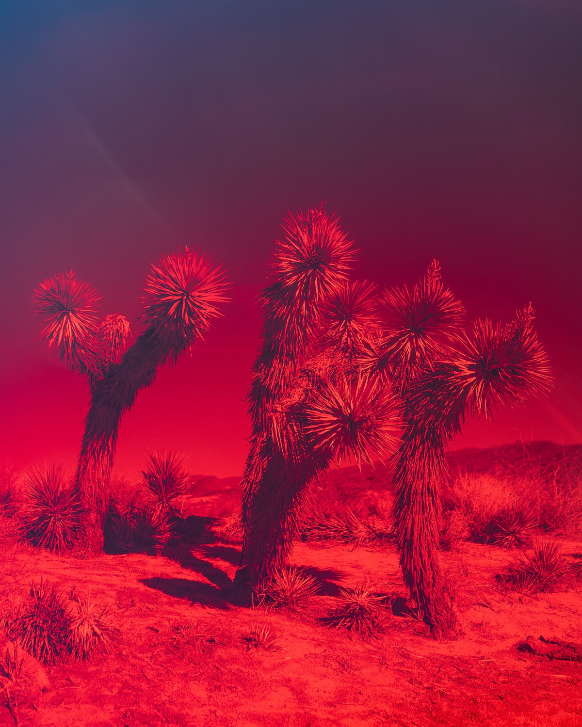 DEATH-VALLEY_07-2019_1643.jpg
