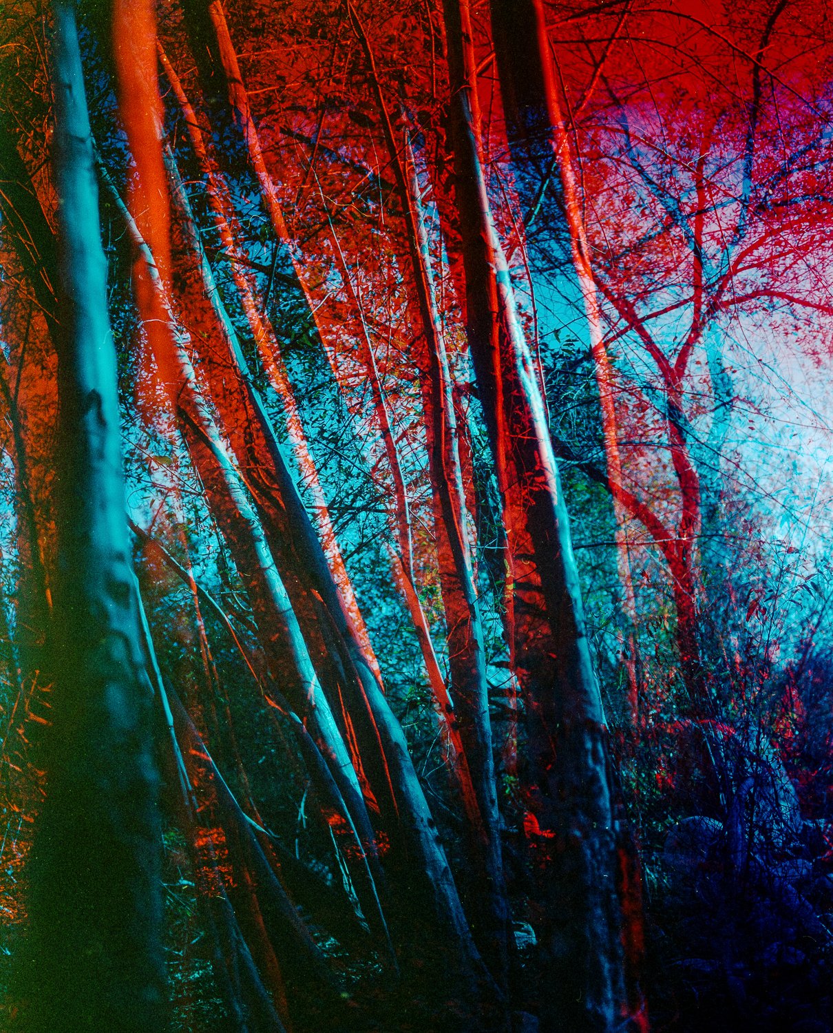 2024-02-18-0011_RAW.jpg