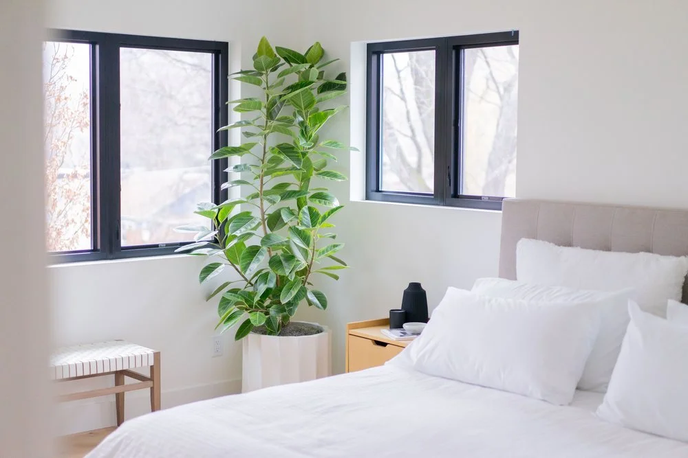 Picture of Biophilic Design | Tectonic Design Build