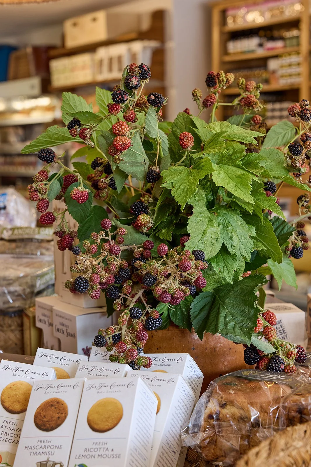 Decorbuddi_Interior_designer_Jo_Miller_The_Cotswolds_Cheese_Company_11.jpg