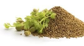 Celery Seed, dried, ground
