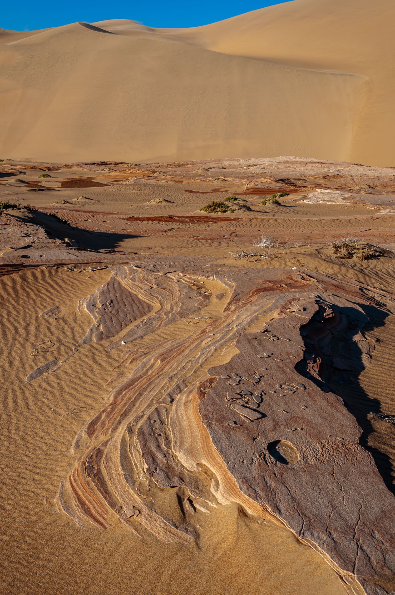 20130722-_DSC2336.jpg