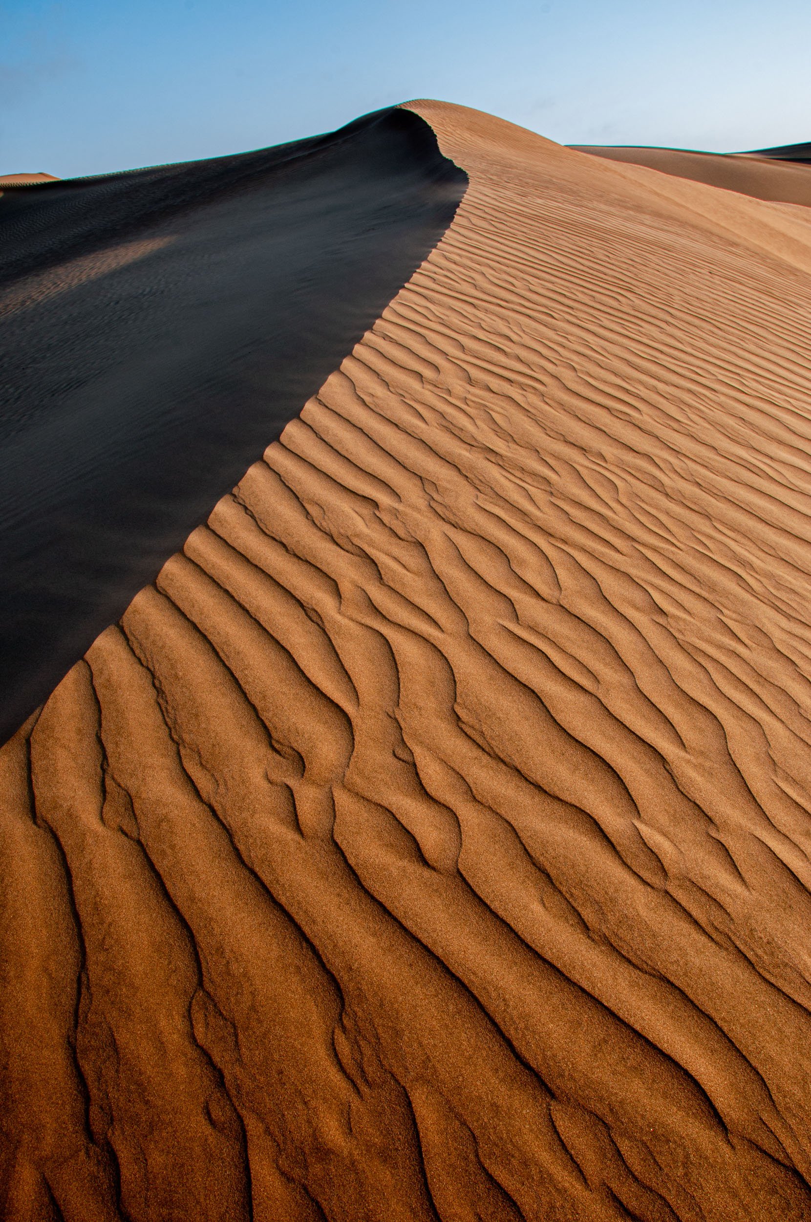 _DSC6568-Edit-2.jpg