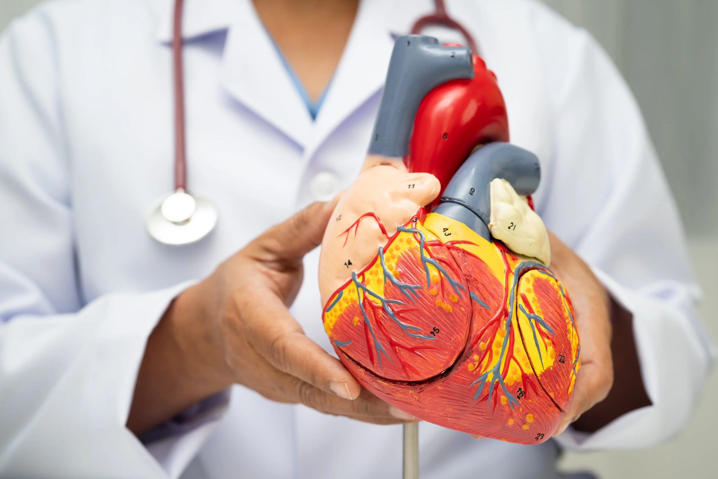 Understanding Silent Heart Disease: What You Don’t Know Could Harm You