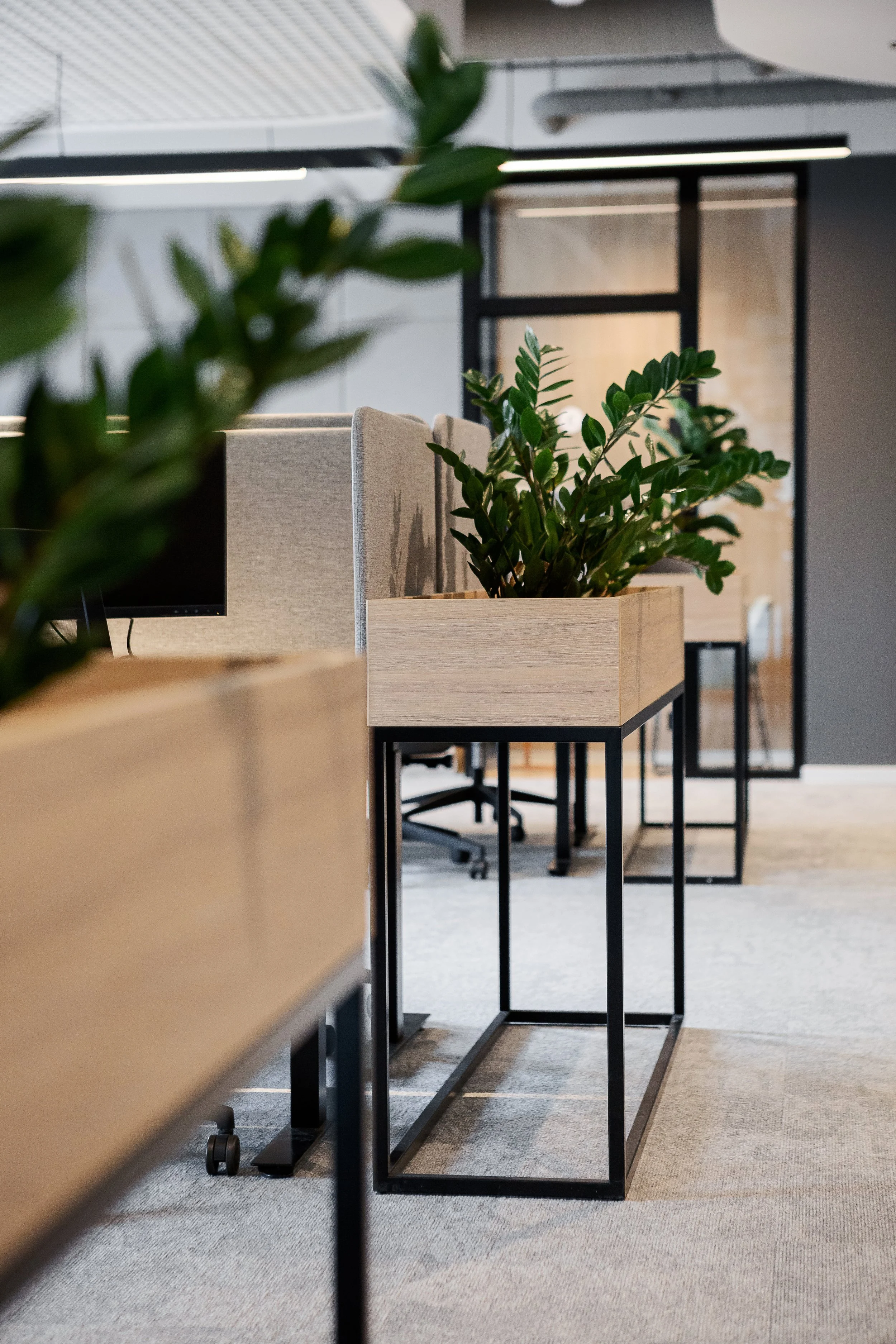 plywood furniture boxes for office interior on black metal framework legs with plants placed inside  
