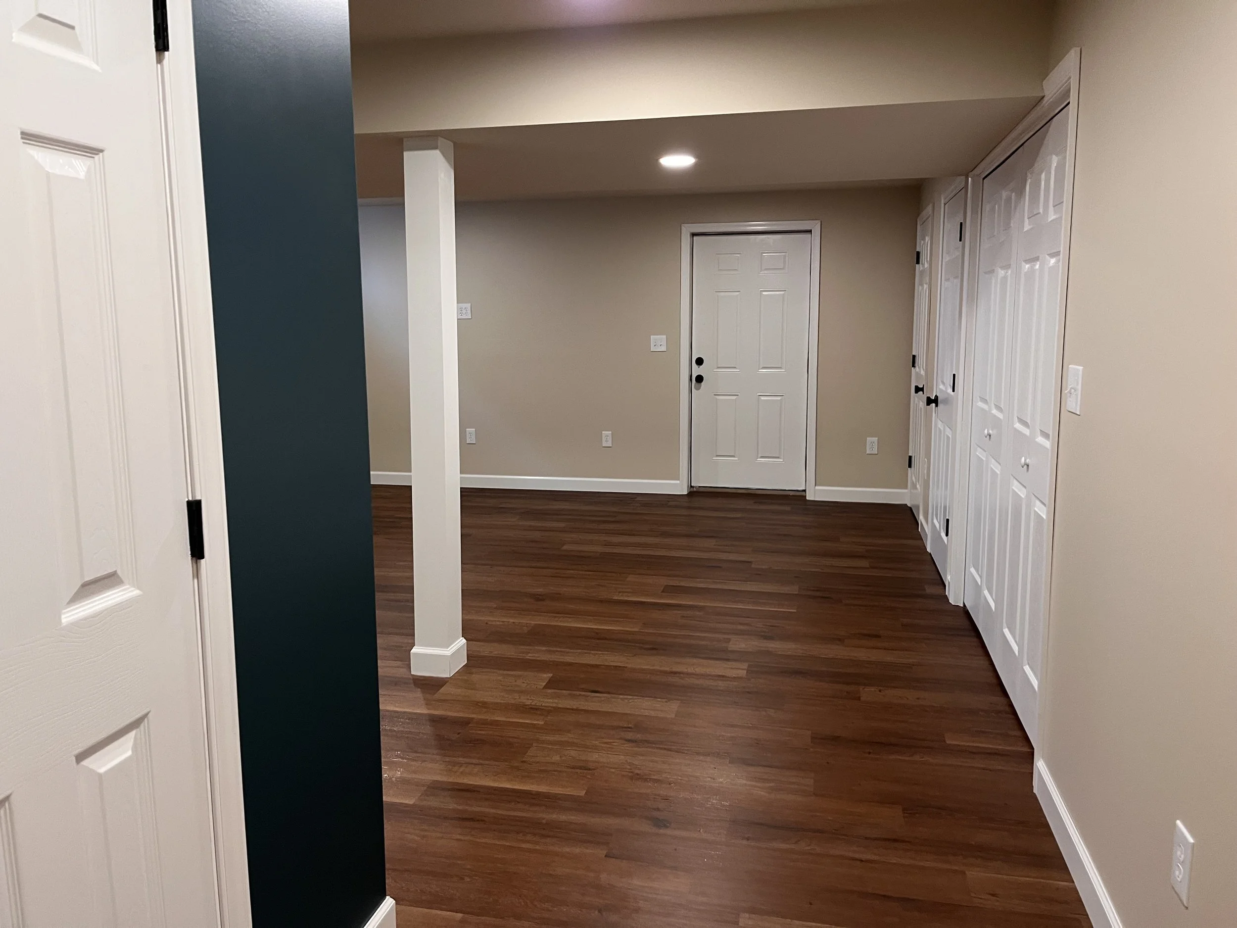 Basement Remodel