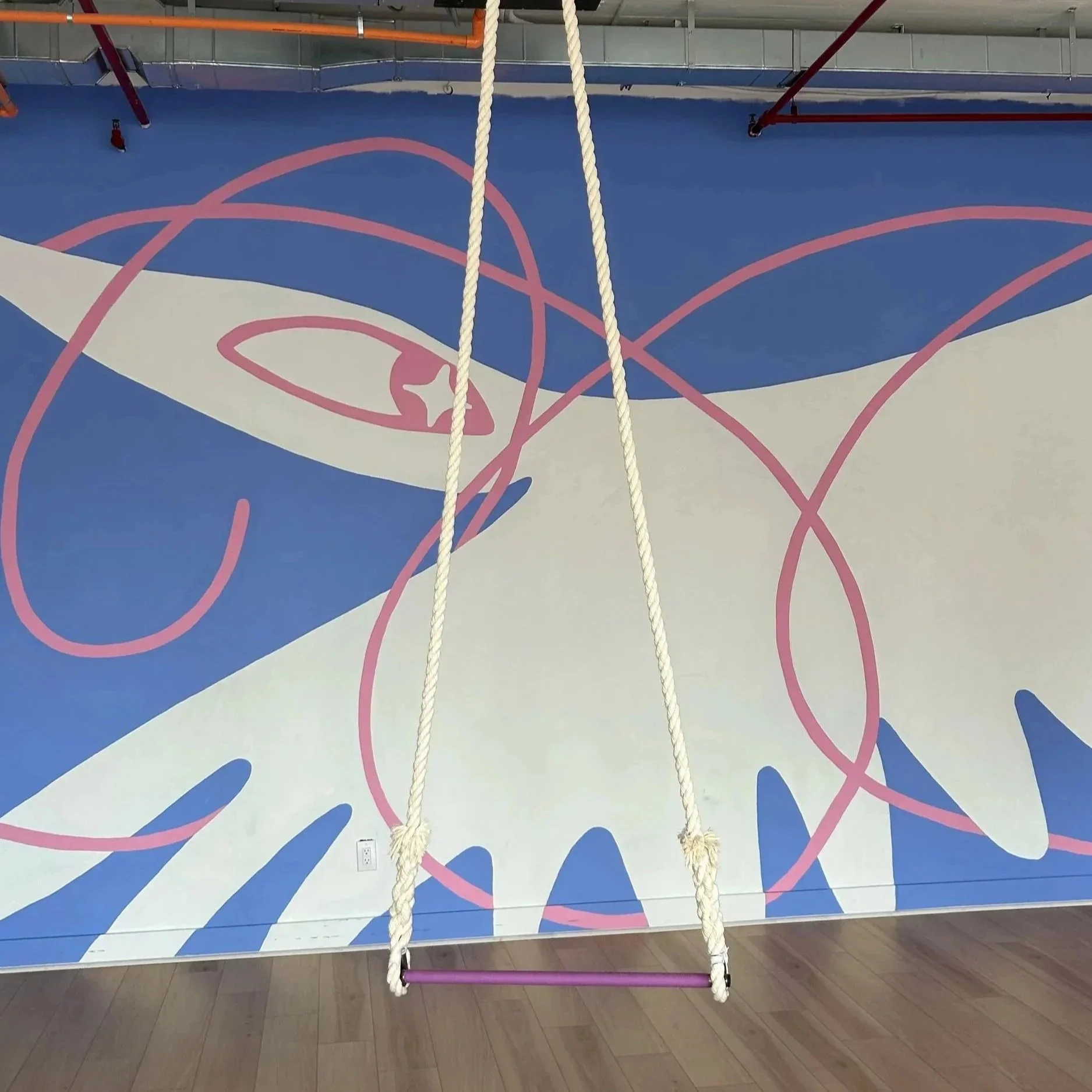 Dance Trapeze