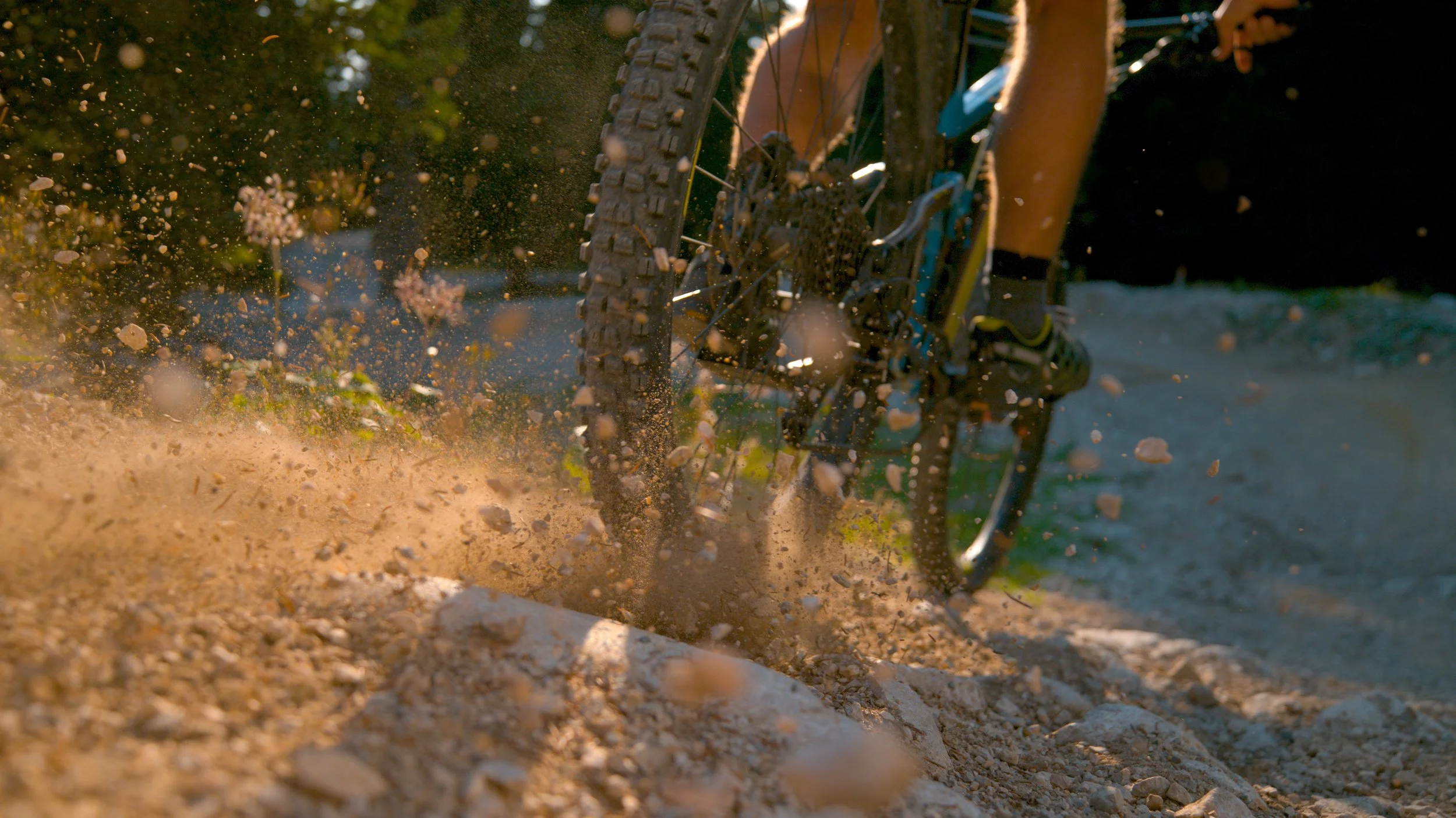 Mountain Bike.jpeg