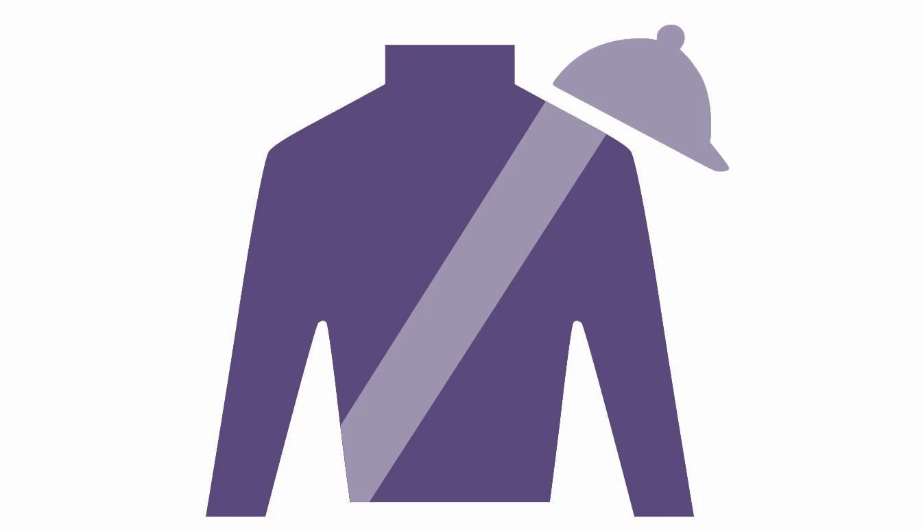 Silhouette of a jockey or racing uniform with a helmet, jacket, and sash, in purple tones, the Audley Farm Equine logo.