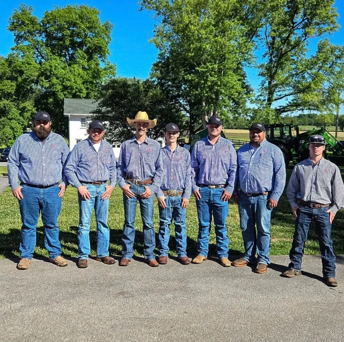 Thank You for a Successful 2026 Audley Angus Female Sale