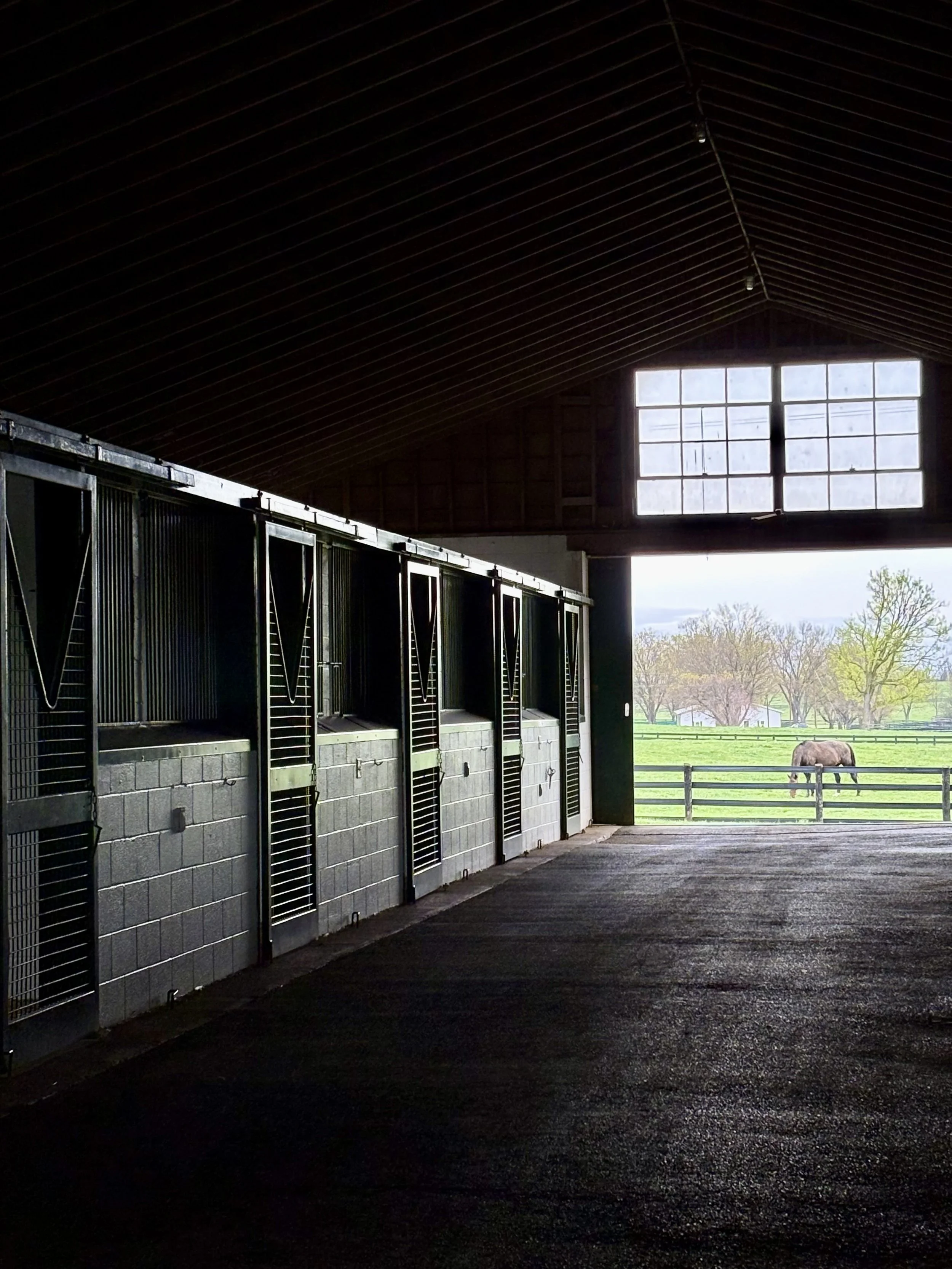 Inside view of an Audley Farm Equine Program barn with horse stalls on the left, looking out towards a pasture with a horse and trees in the distance.