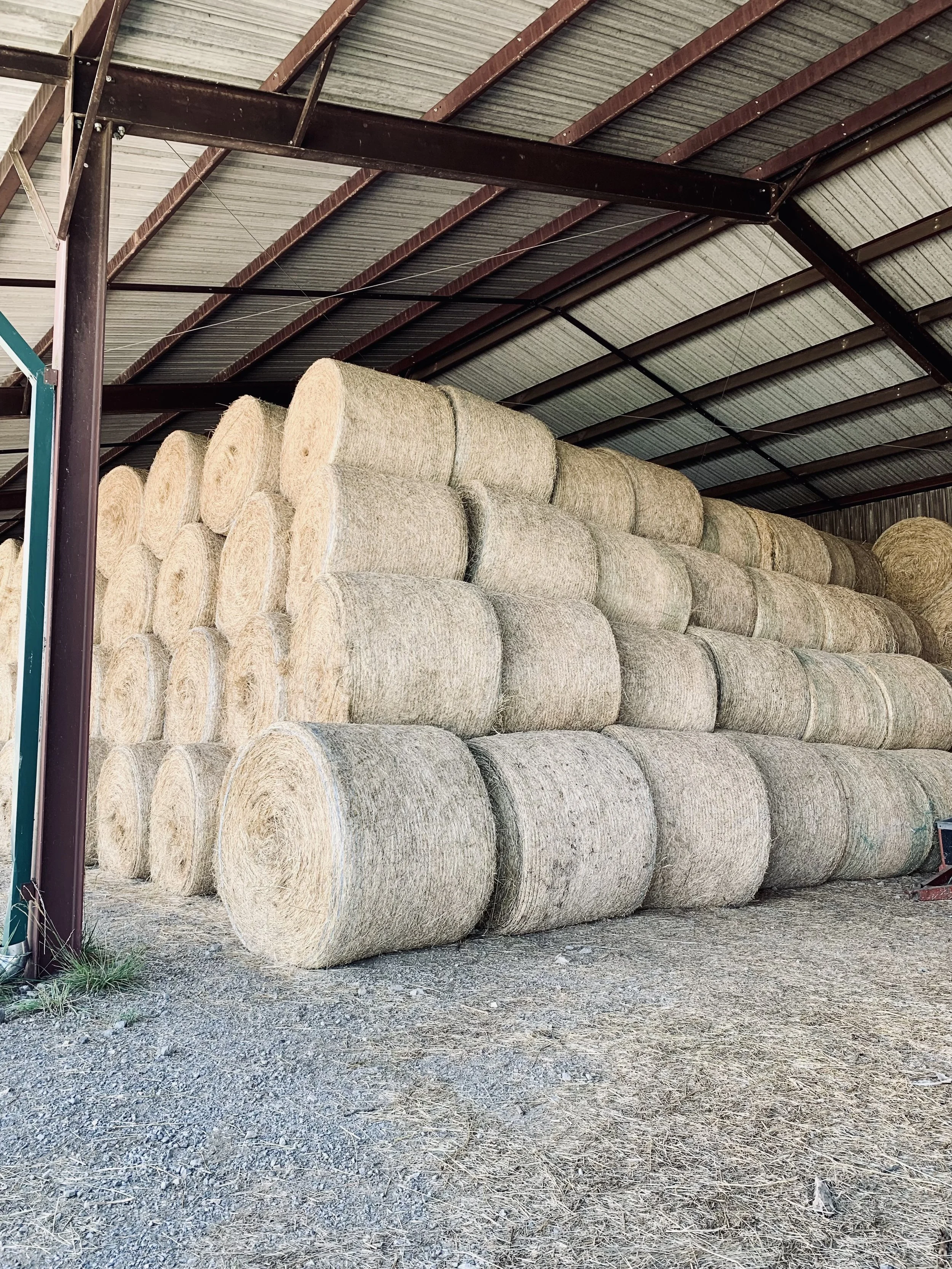 A hay barn full of round bales at Audley Farm in the Shenandoah Valley