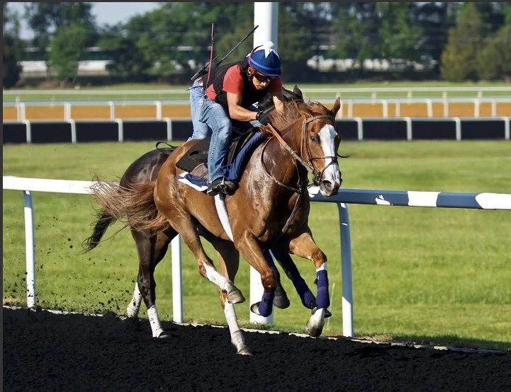 Jockey riding a racehorse during a race on a dirt track, with a green field and trees in the background.