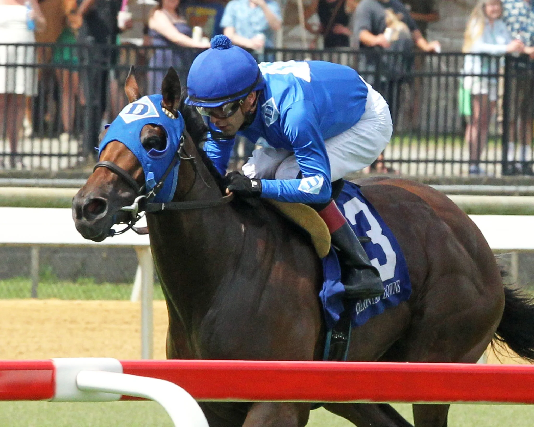 A jockey riding a horse during a race, wearing blue racing silks and a blue helmet, as they clear a hurdle with a red and white bar, with spectators in the background.