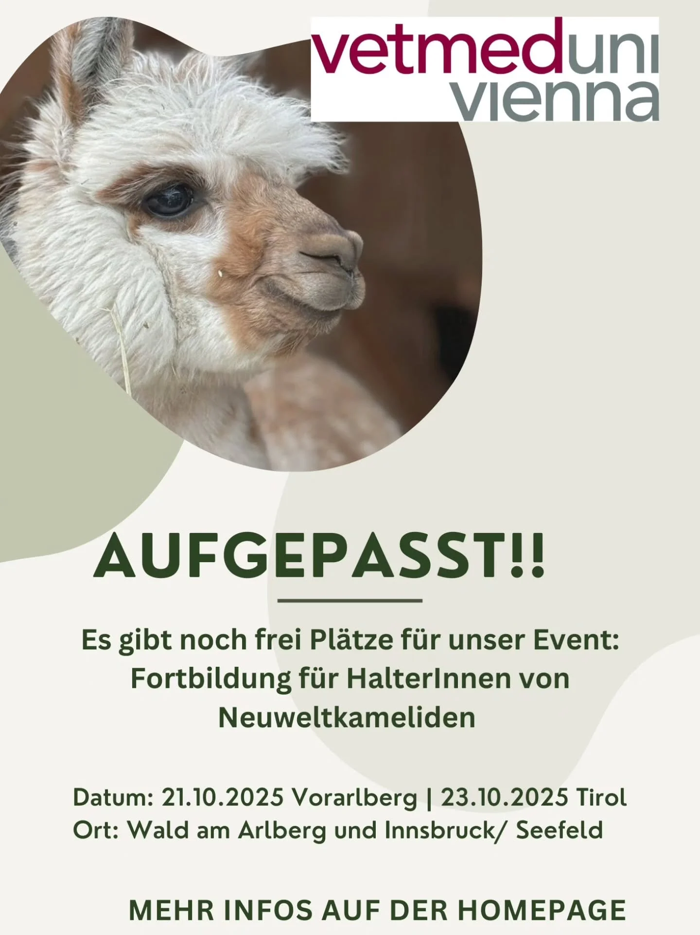Nützt die Chance und meldet euch gleich an!
Ziel des Workshops
Der Workshop richtet sich an alle TierhalterInnen, die sich zum Thema Tiergesundheit, Management und Vorbeugung sowie die Erkennung von Krankheiten, Herdenbetreuung von Jung bis Al