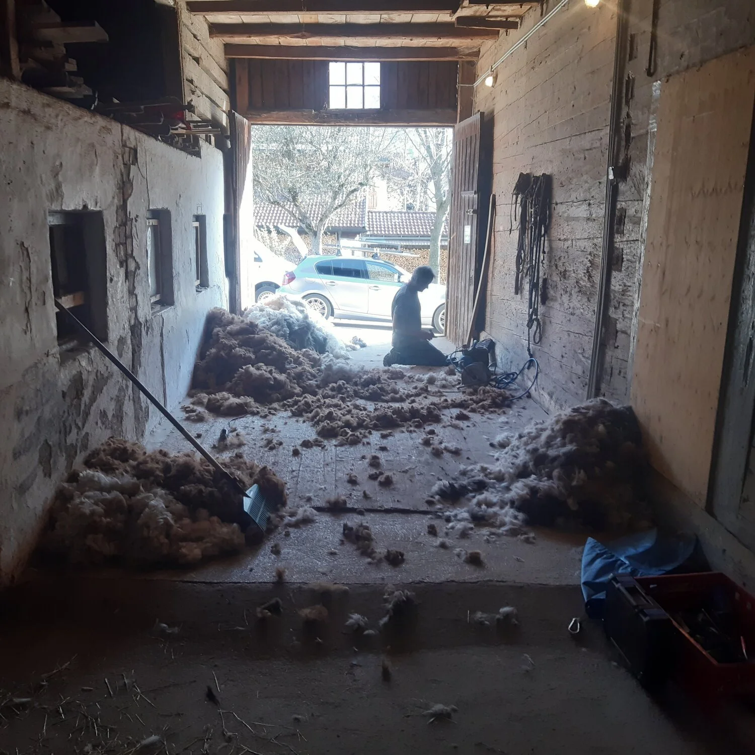 Ein Mann sitzt auf dem Boden in einer Scheune, umgeben von herumliegenden Wolle und aus dem offenen Tor blickend auf einen Parkplatz mit Autos und Bäumen im Hintergrund, während es draußen sonnig ist.