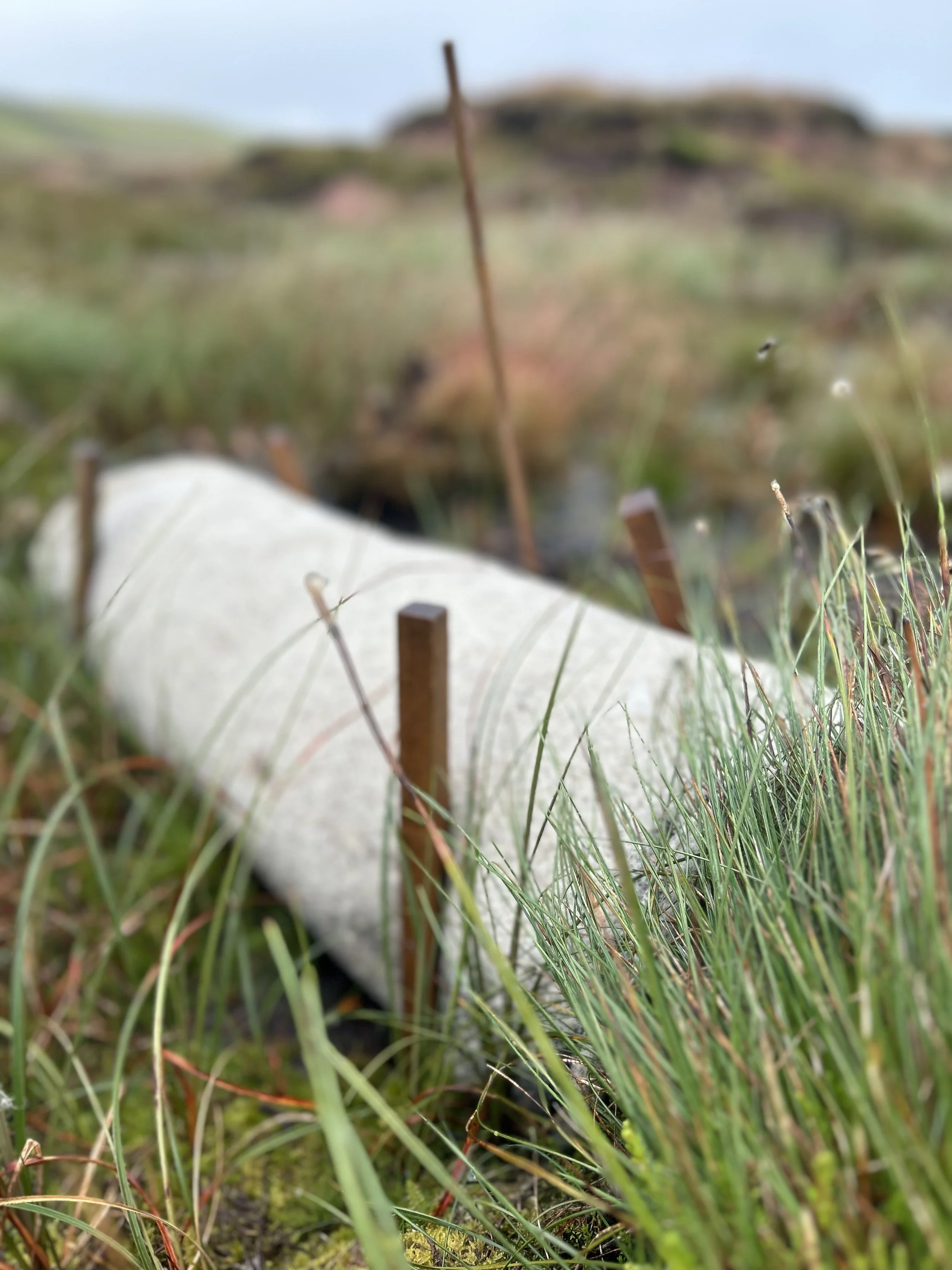 Wool logs a natural replacement for coconut fibre logos used in peatland restoration