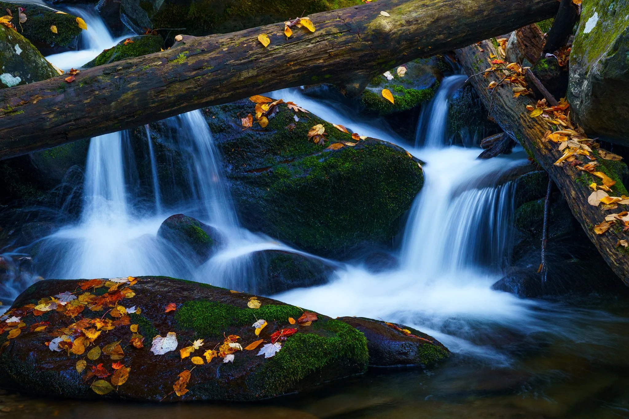 2023-10-25_261-Edit.jpg
