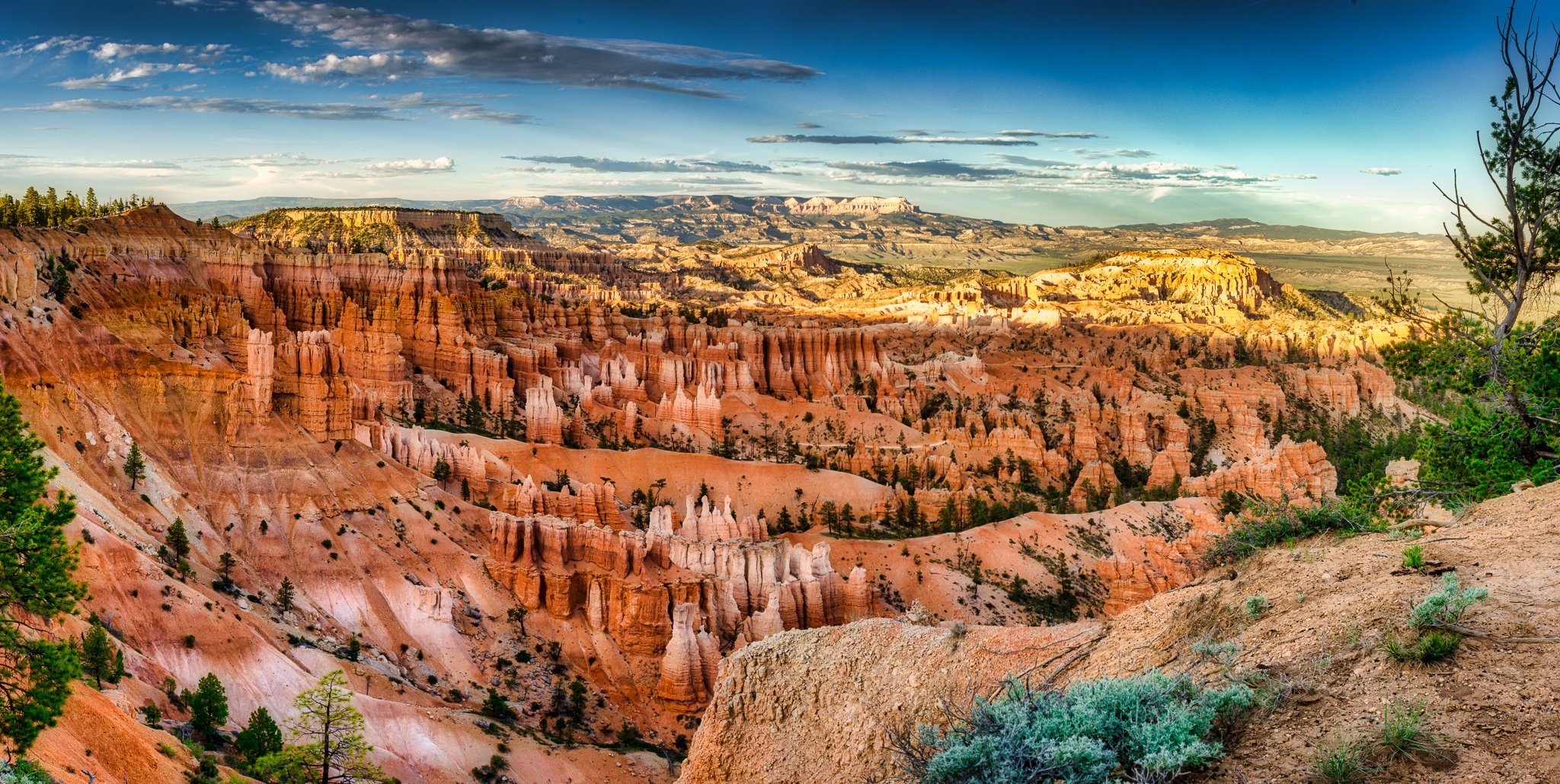 2019-06-12_336-Pano-Edit.jpg