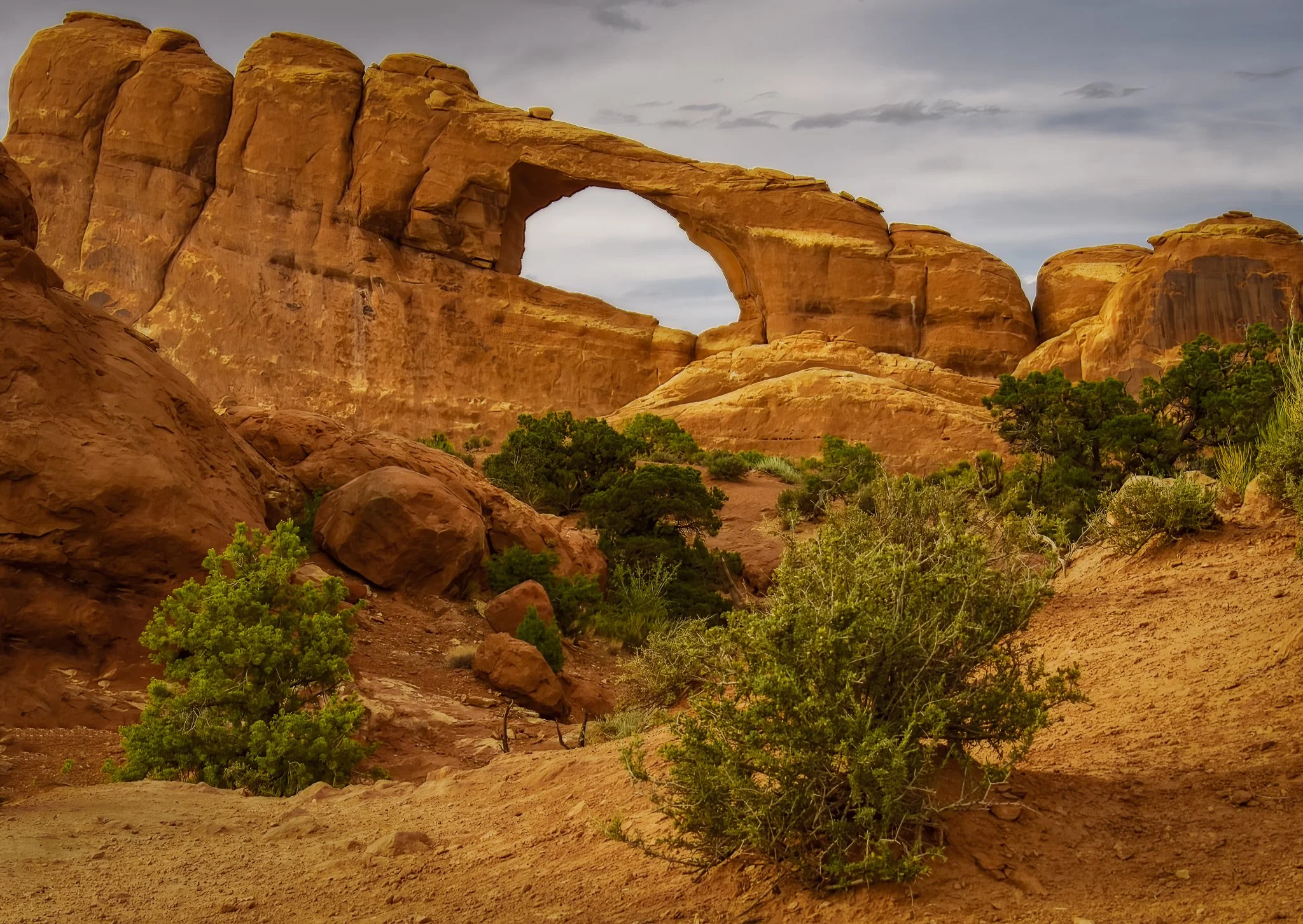 2019-06-16_983-2-Edit.jpg