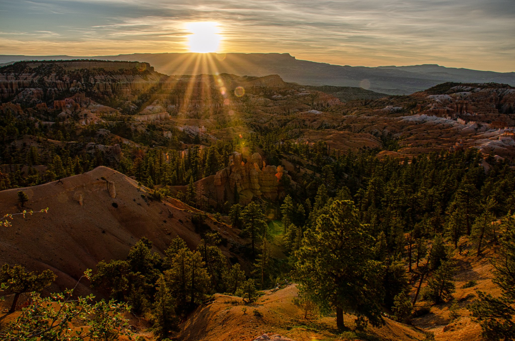 2019-06-13_394-Edit.jpg