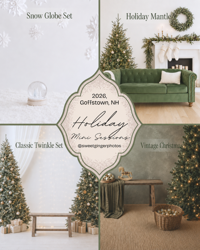 Holiday Christmas Photography sets
