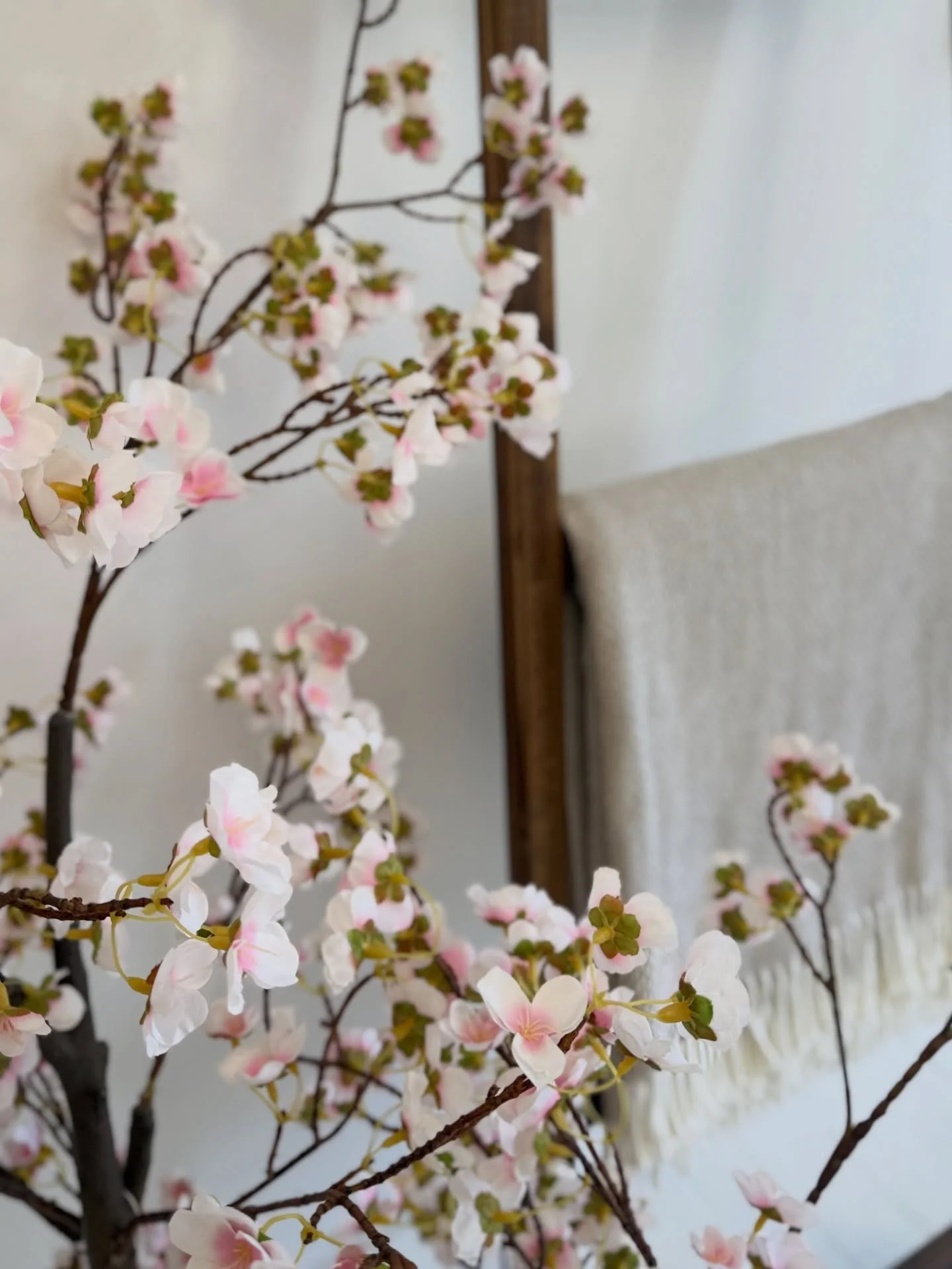 New little details are making their way into the studio lately! 

Soft cherry blossoms, layered textures, and pieces that bring a little more story and movement into your sessions. I&rsquo;m always looking for props that feel elevated, versatile, and