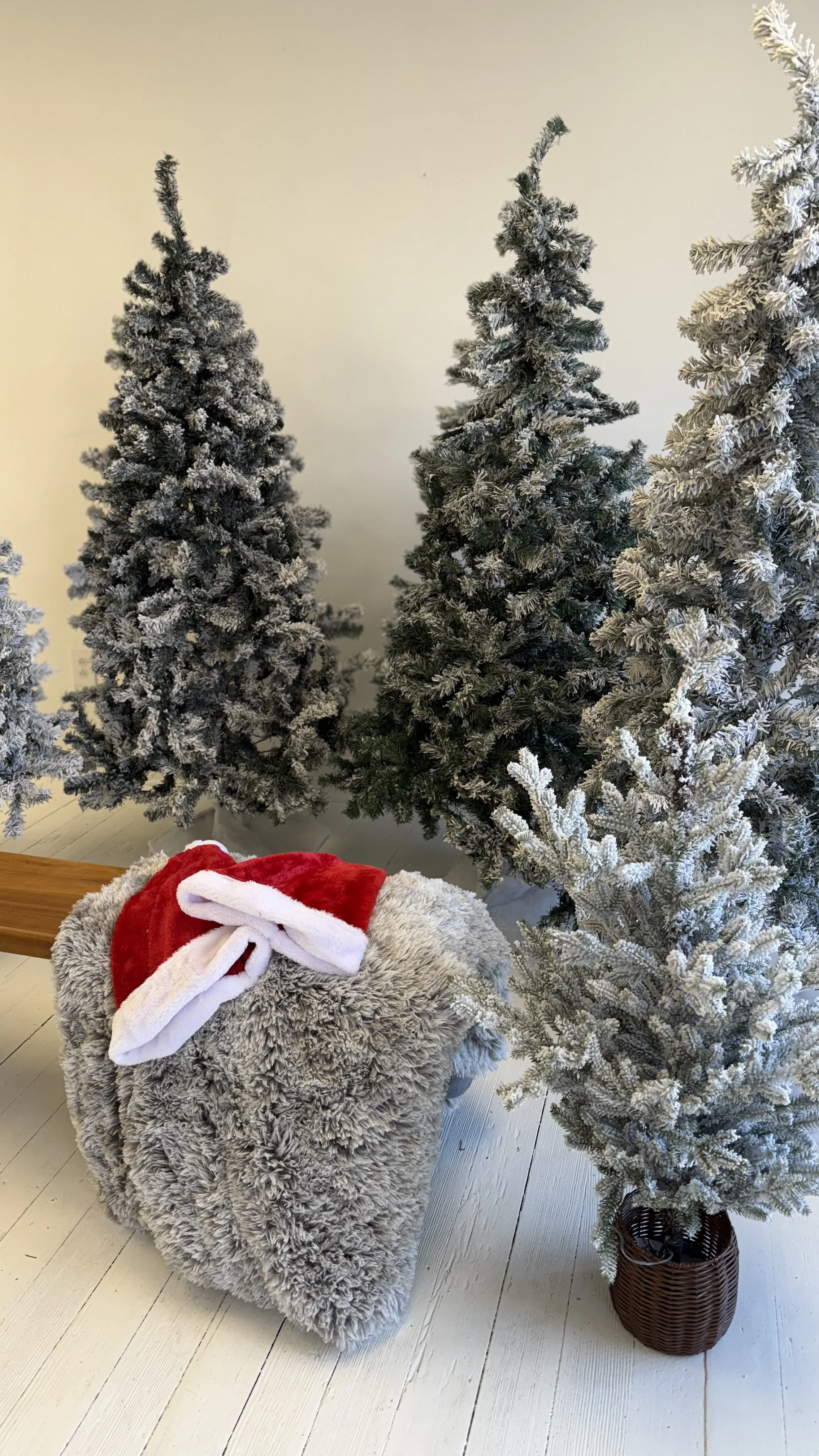 Indoor Christmas Tree Farm photo set 