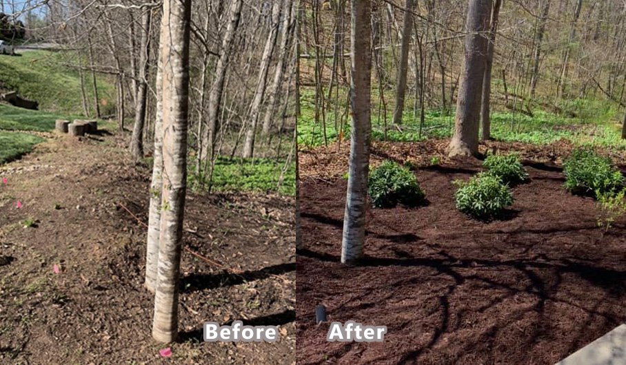 before and after 8.jpg