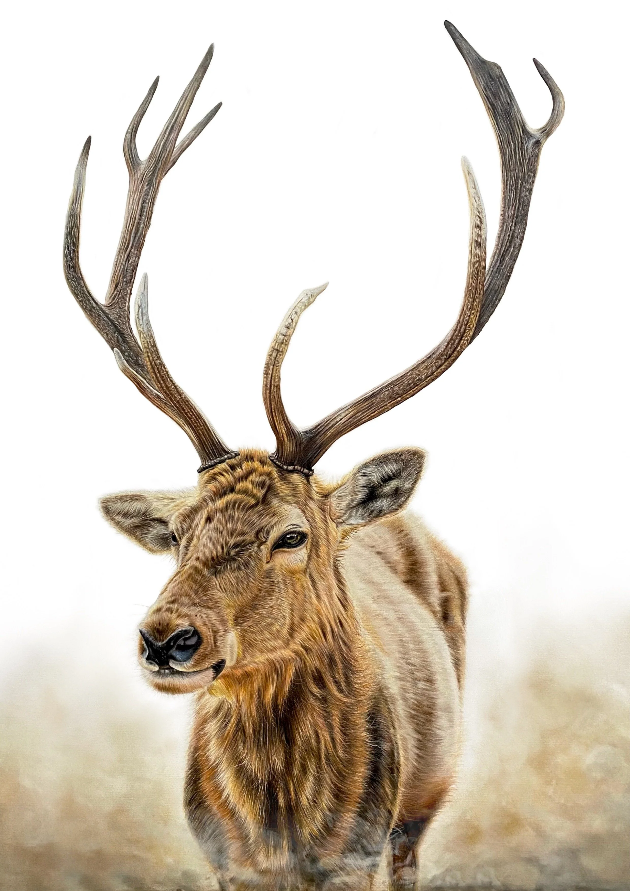 SE23_032Becca Barron.JPG