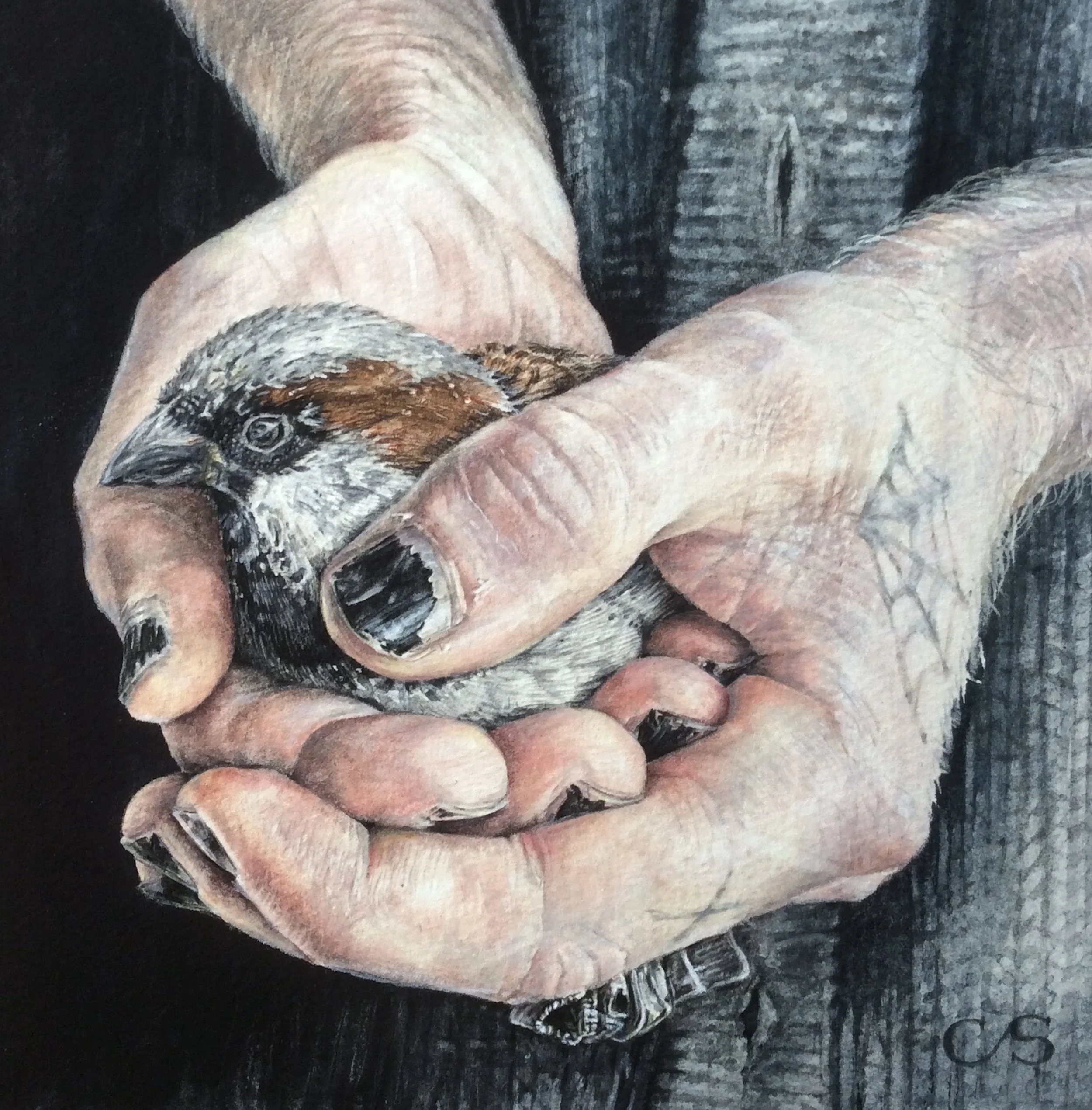 SE23_044Claire Sparkes RI SGFA.JPG