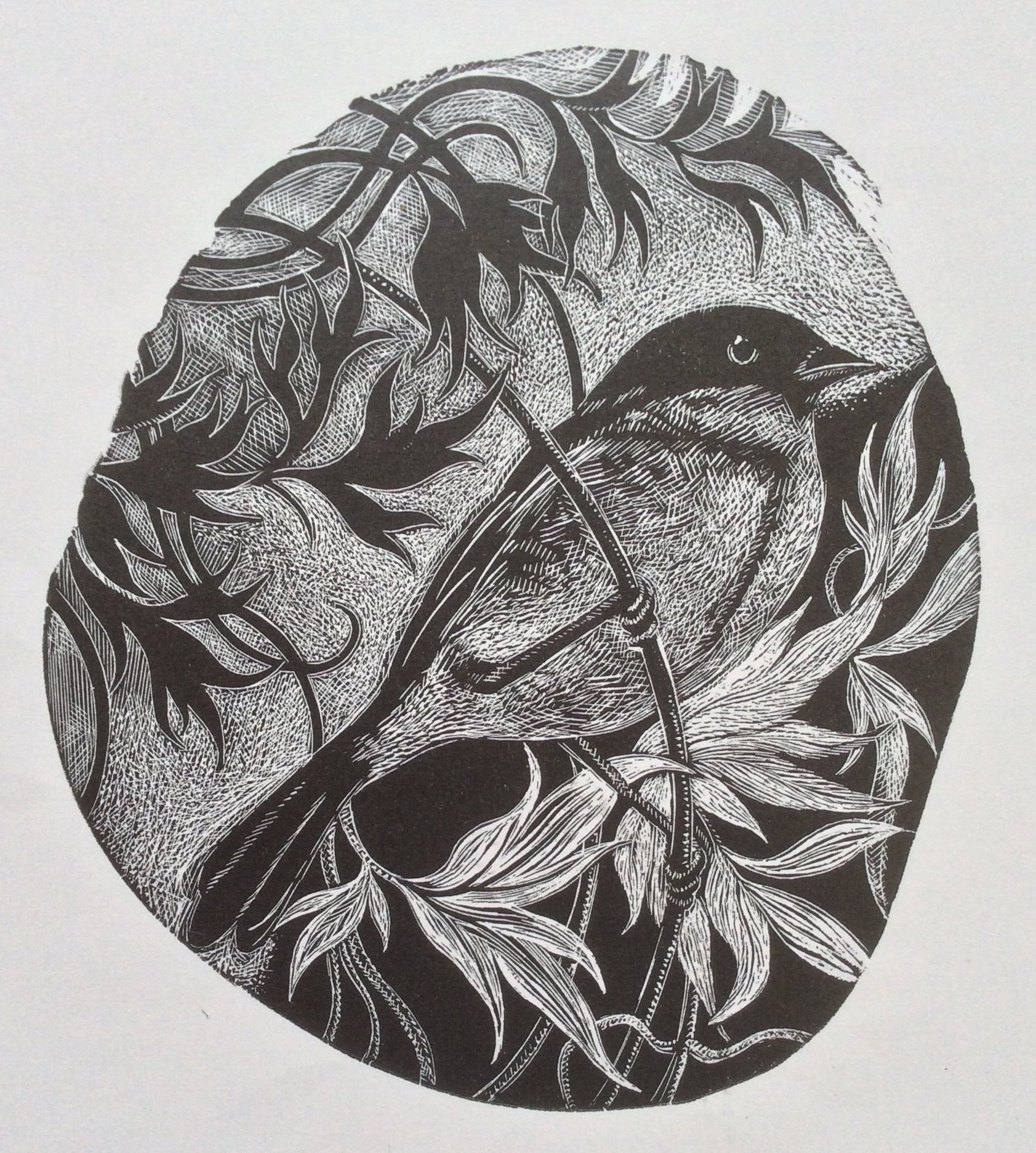 010. Cathryn Kuhfeld, FLEDGLING