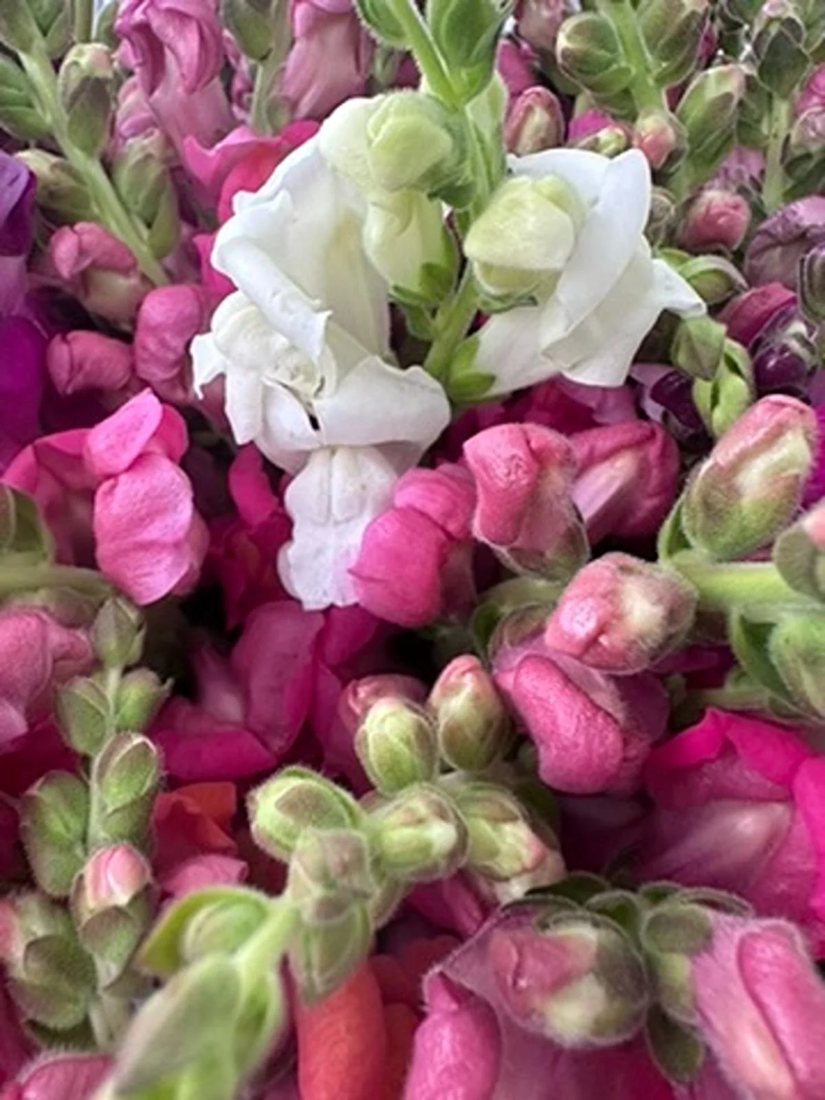 Why Choosing Seasonal Blooms Makes Your Wedding Flowers More Beautiful