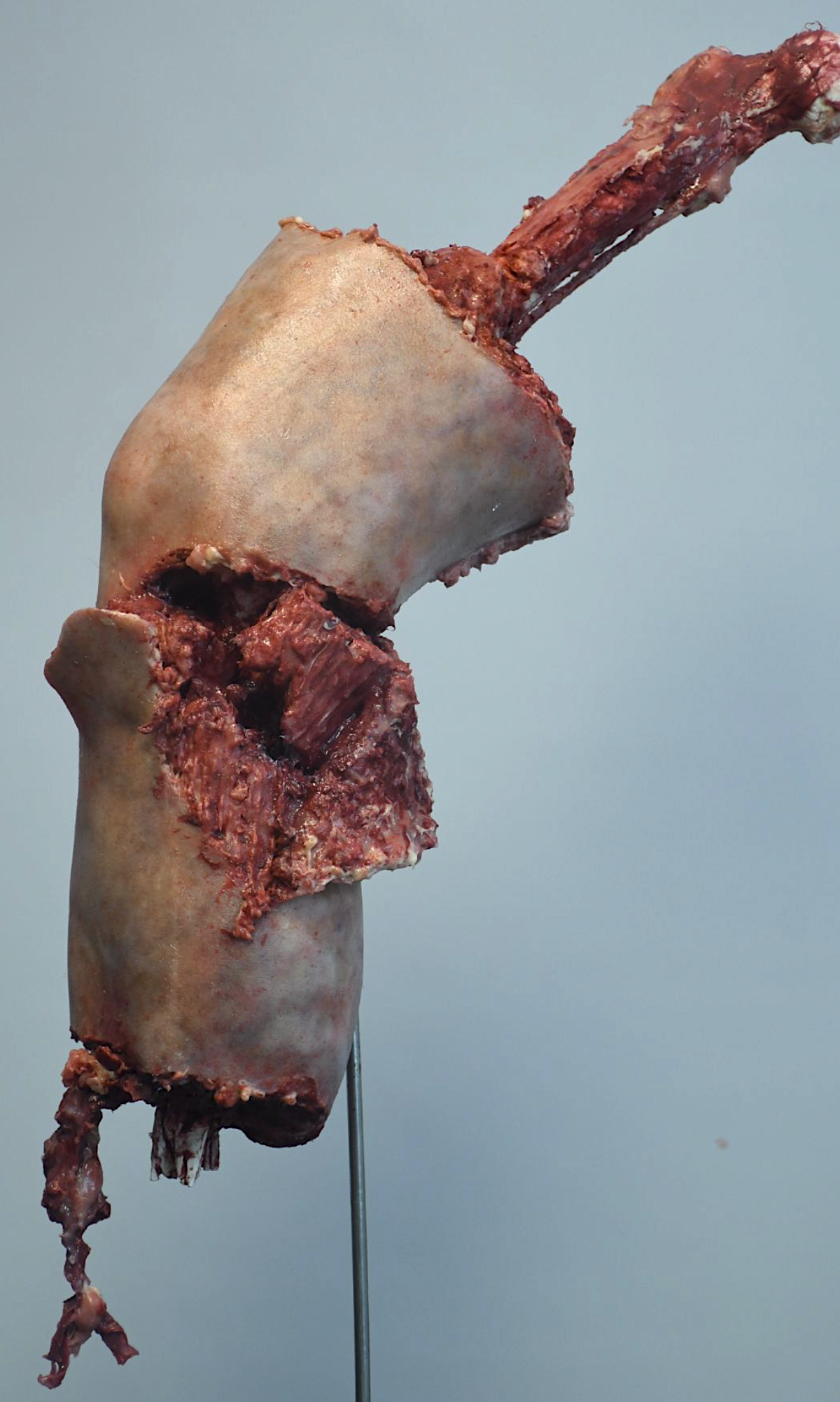 Screenshot 2024-03-25 at 3.17.15 PM 2.png