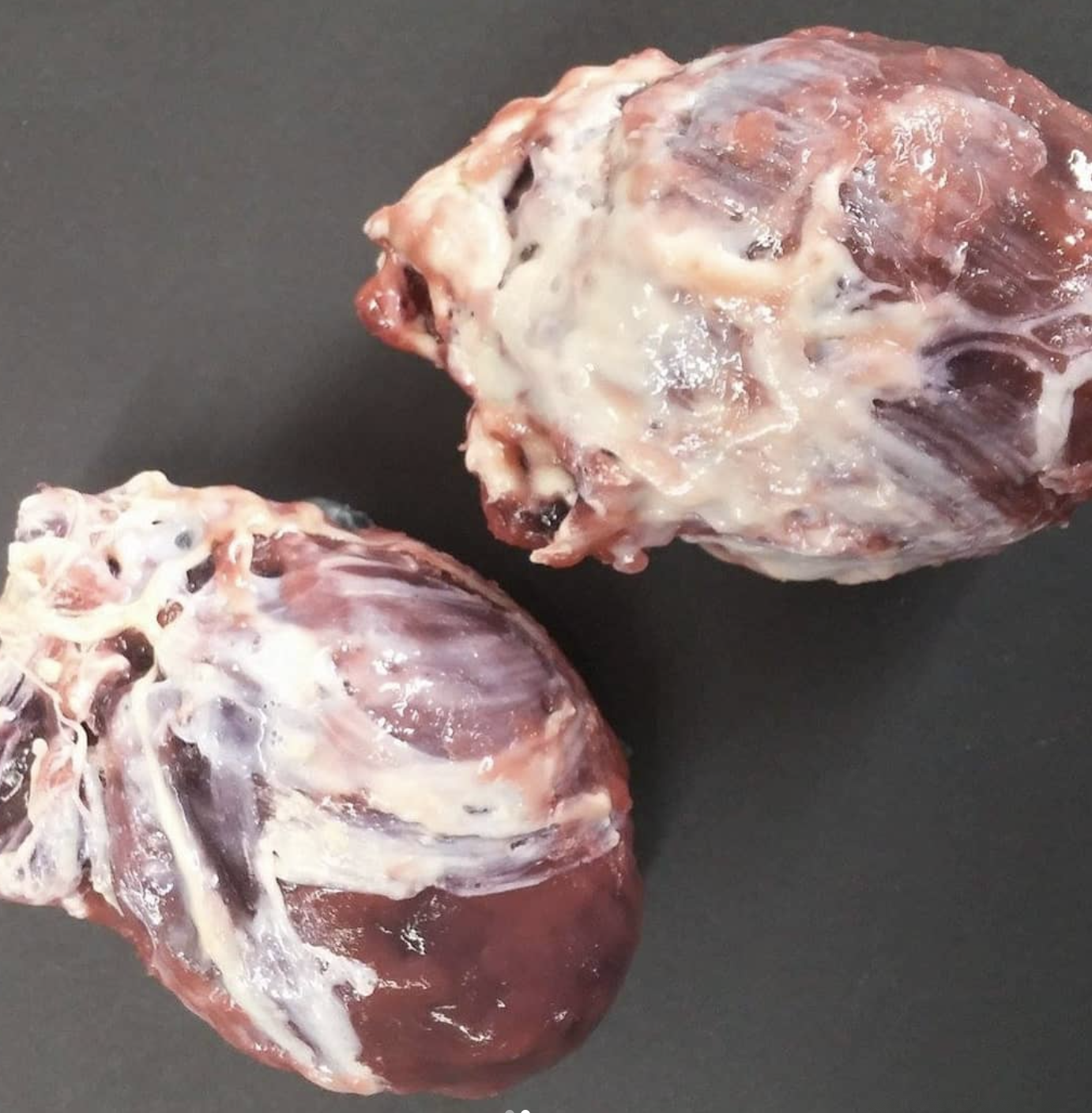 Screenshot 2025-01-24 at 3.09.06 PM.png