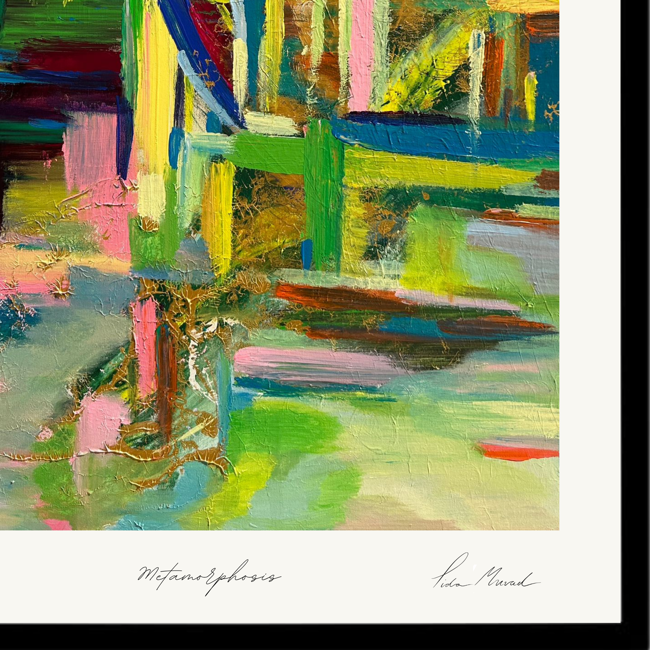 Metamorphosis Close ups-2.png