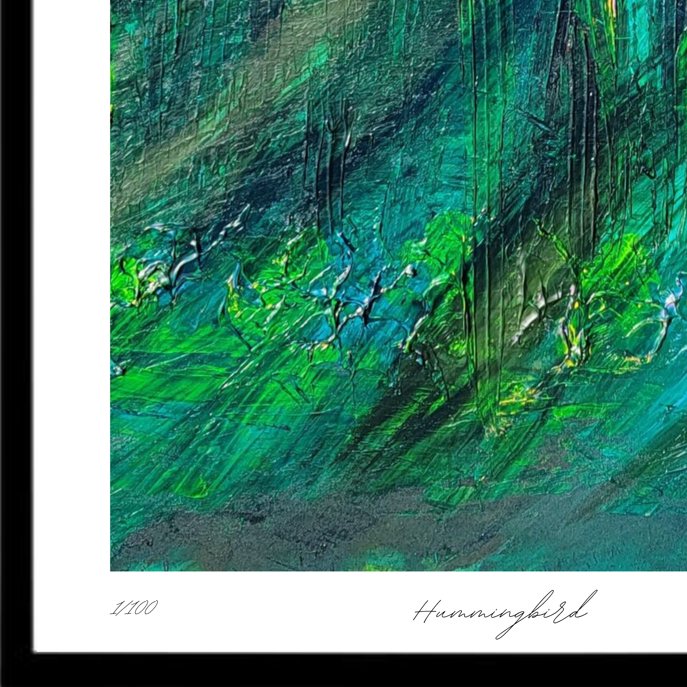 Hummingbird Close ups.png