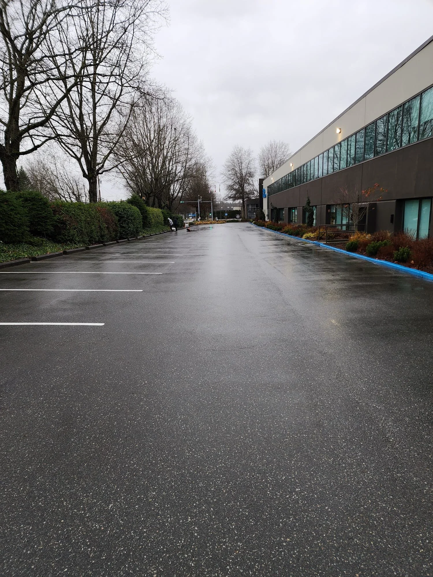 WhatsApp Image 2025-01-23 at 14.19.14_83cb202f.jpg