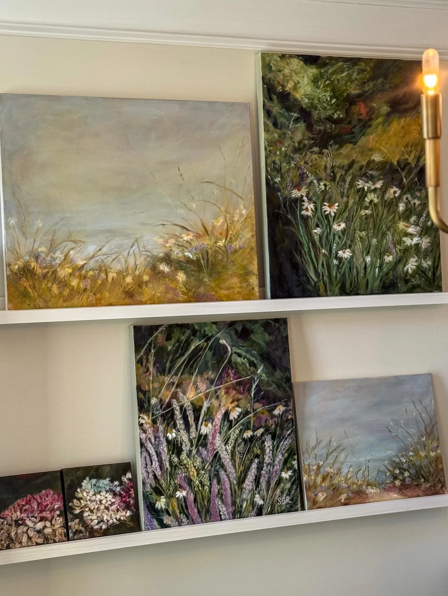 Show prep is blooming 🌼