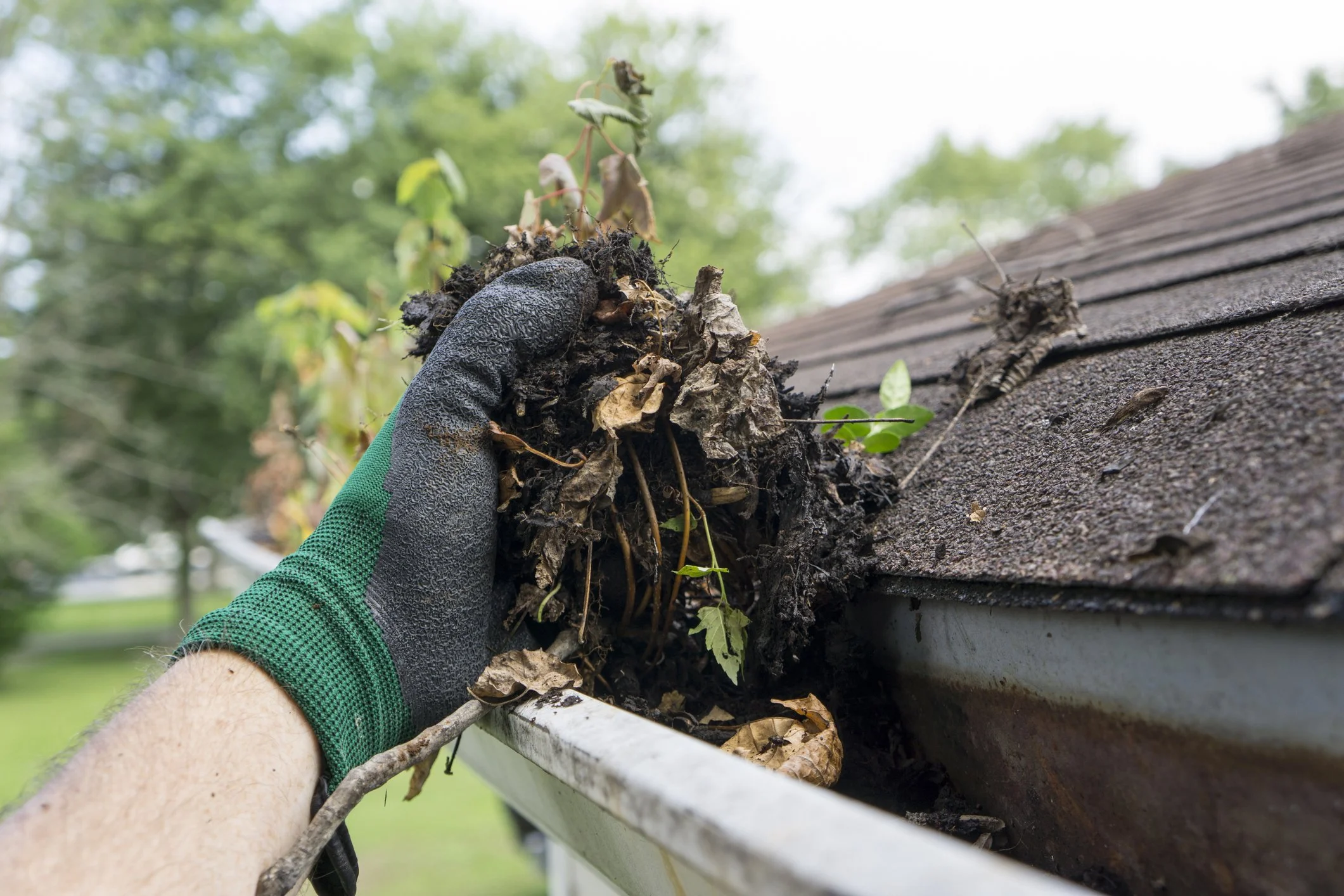 A person grabbing leaves and debris out of gutters at a home in Omaha, Nebraska.