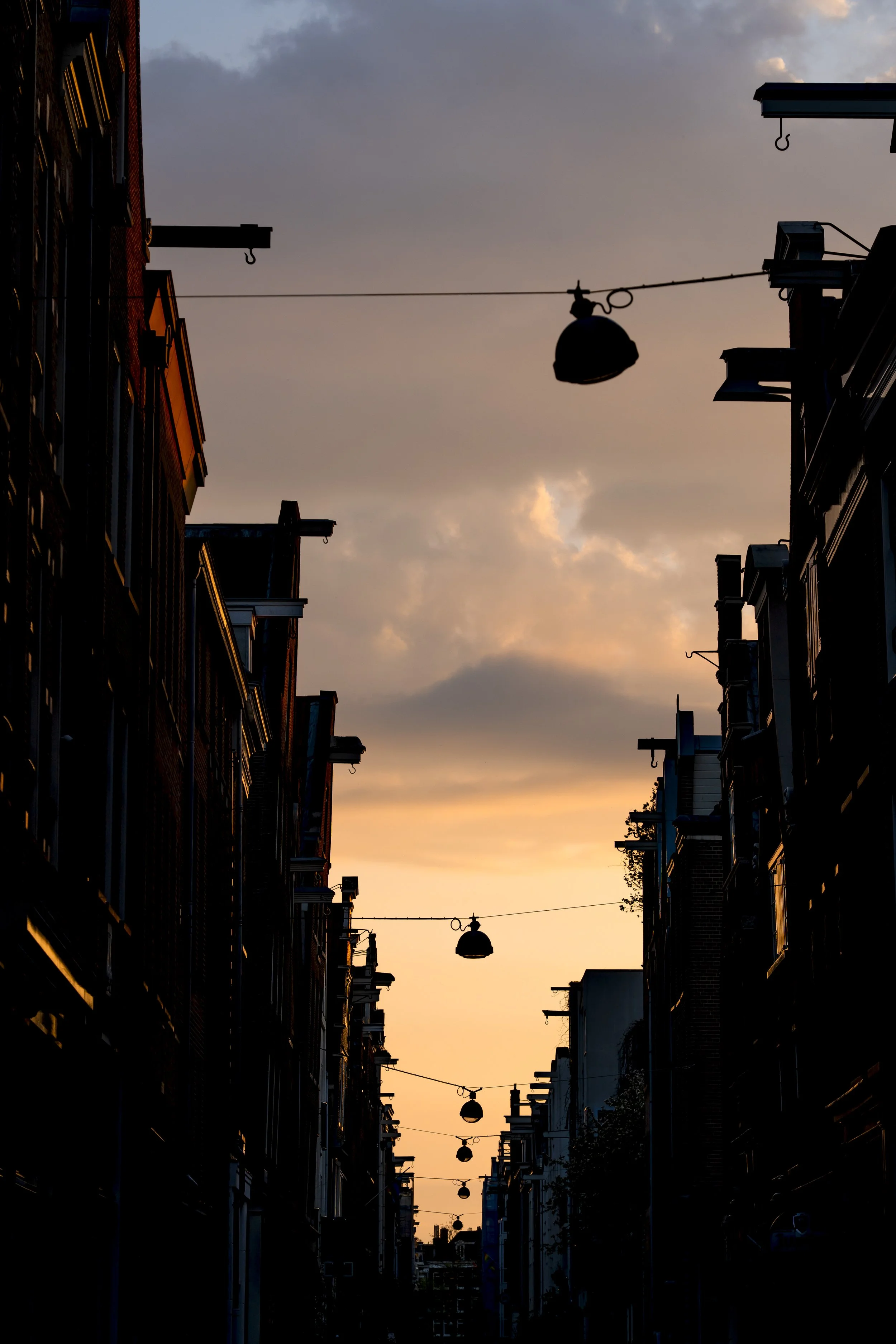 DSC09129-2.jpg