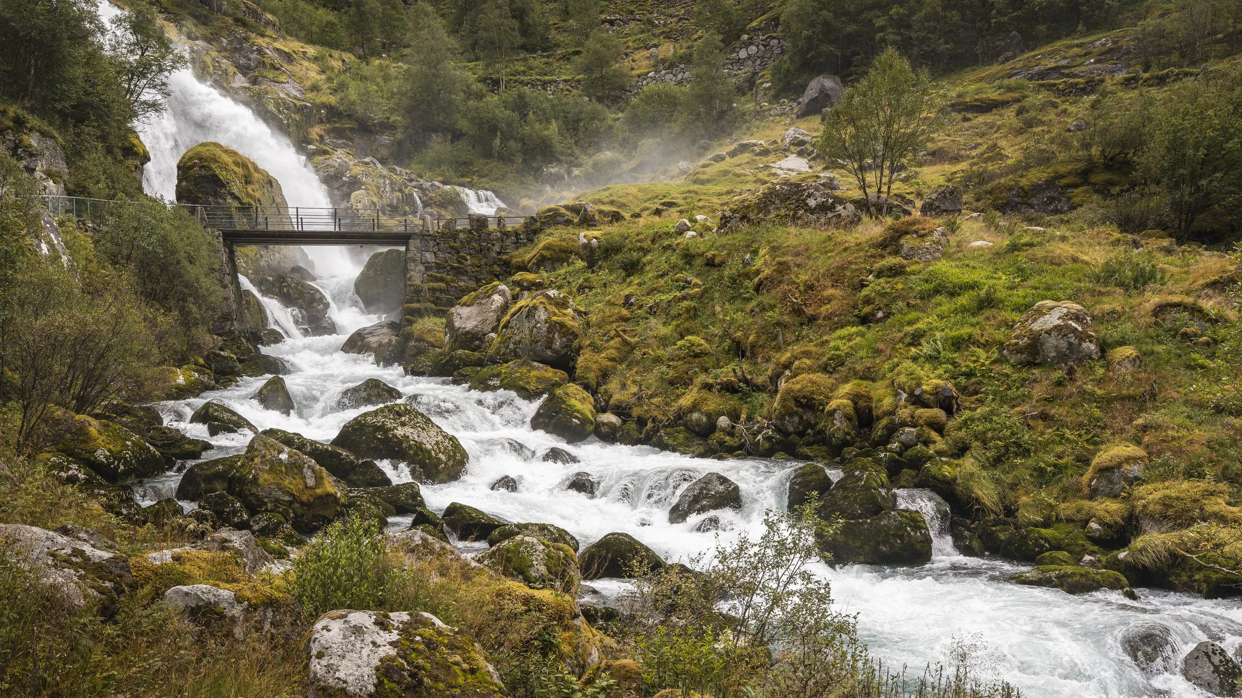 DSC01795-Edit-Edit.jpg