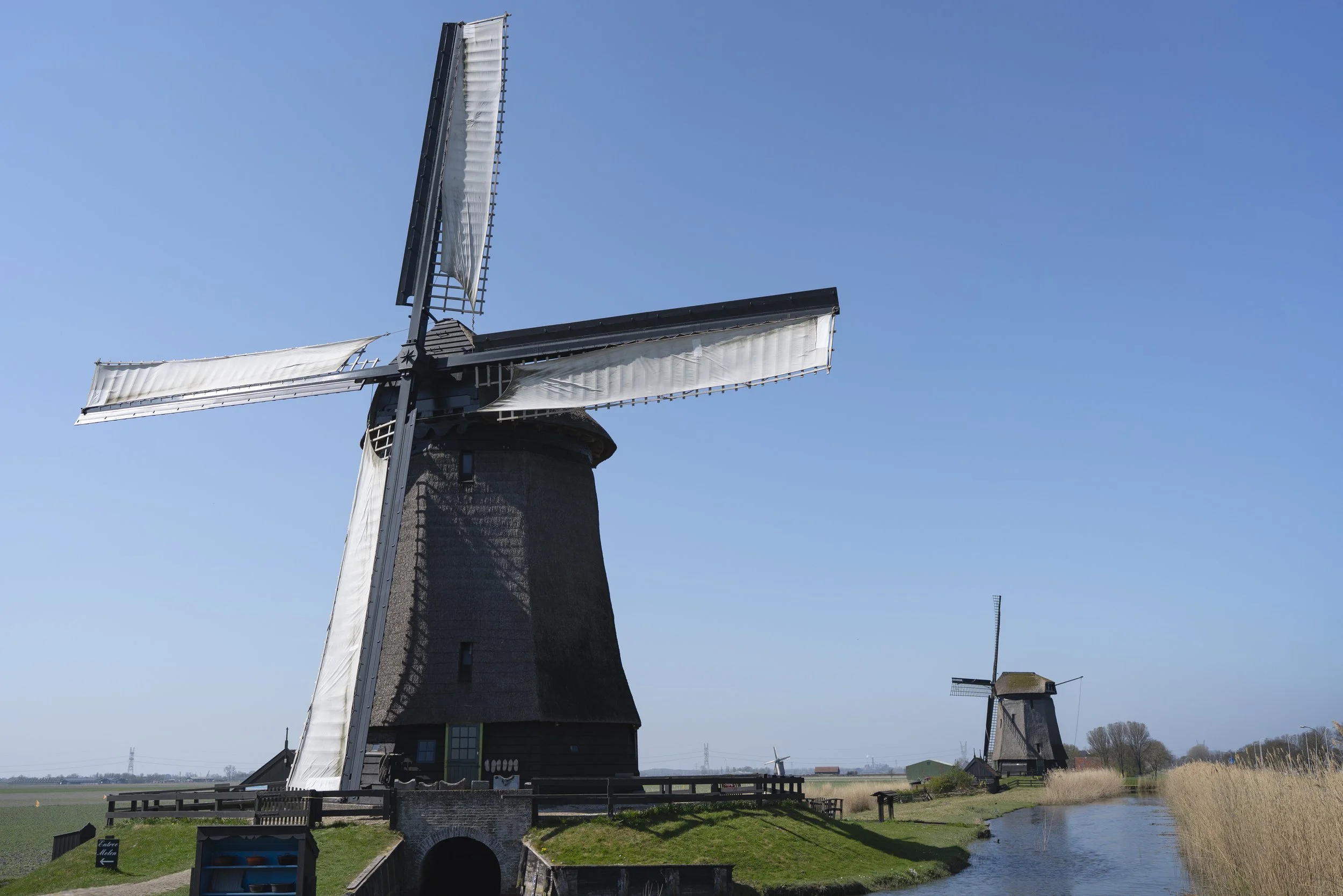 DSC08625-2.jpg