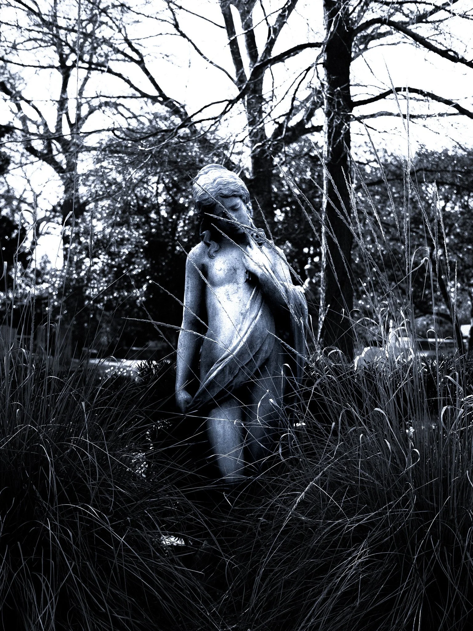 DSCF5188.jpg