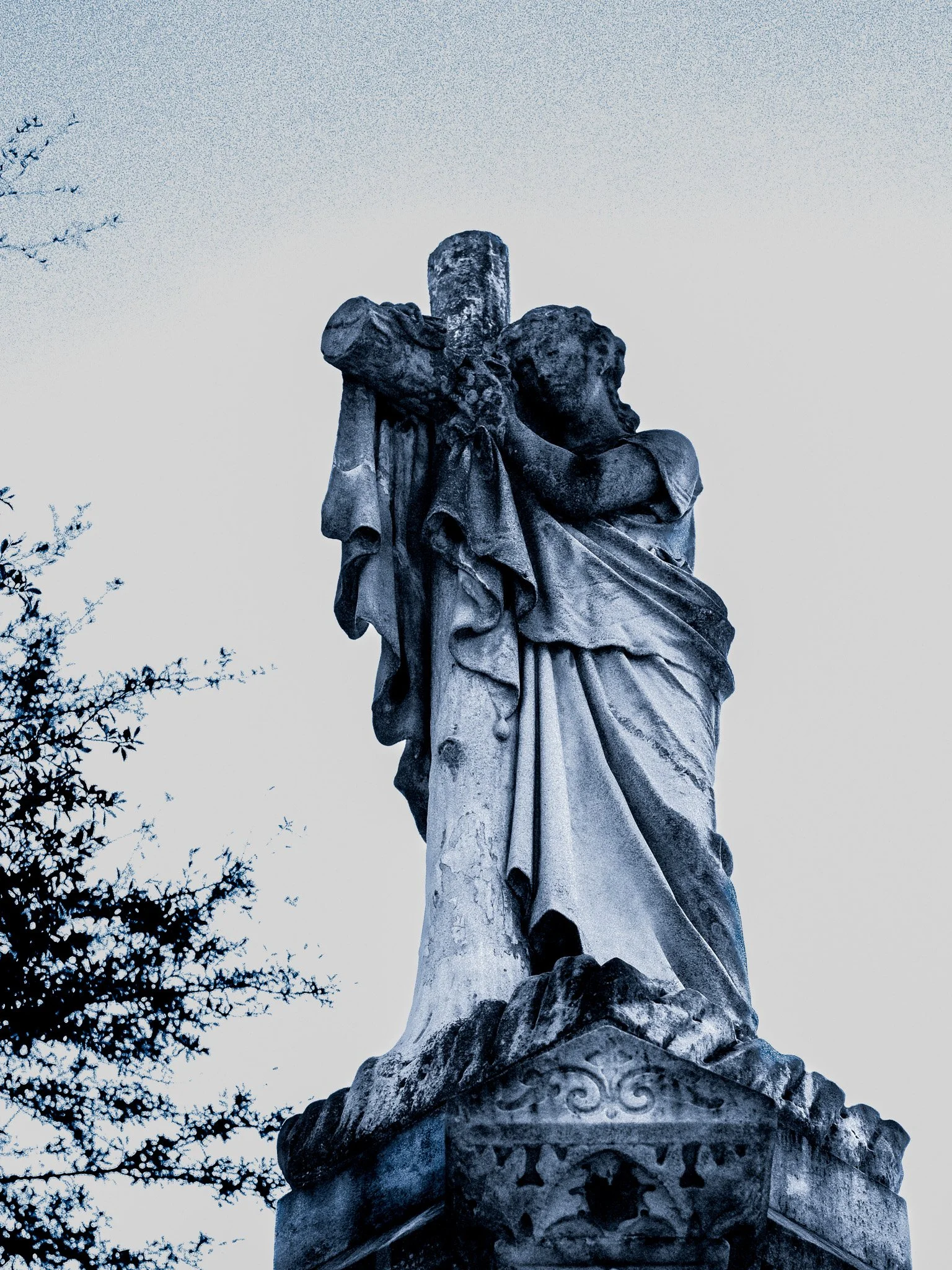 DSCF5203.jpg